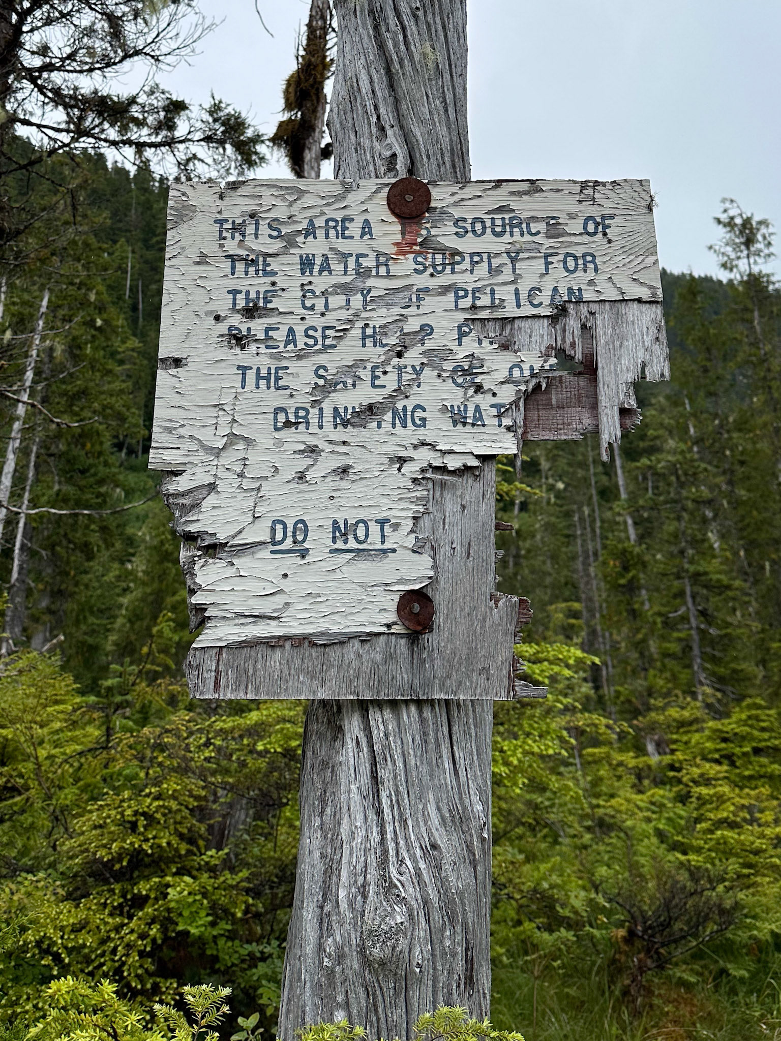 Alaska vacation in July, 2023 (Photo by Keith Sliney).