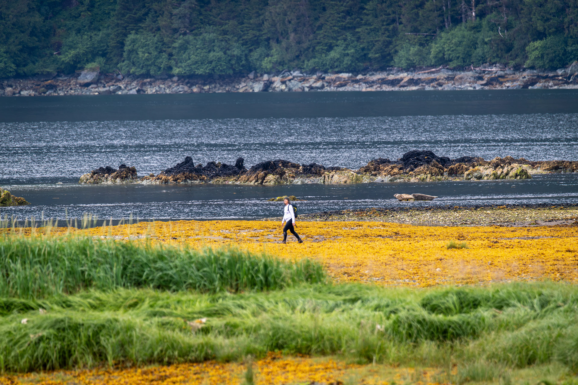 Alaska vacation in July, 2023 (Photo by Keith Sliney).