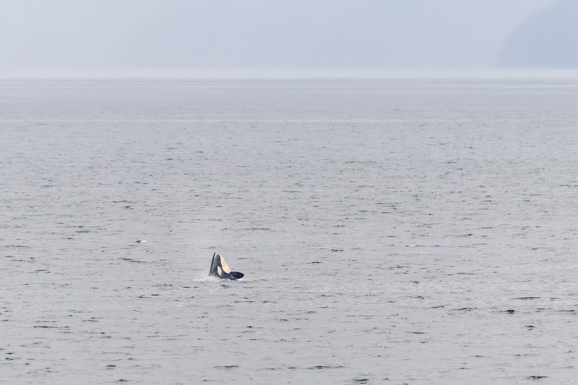 Alaska vacation in July, 2023 (Photo by Keith Sliney).