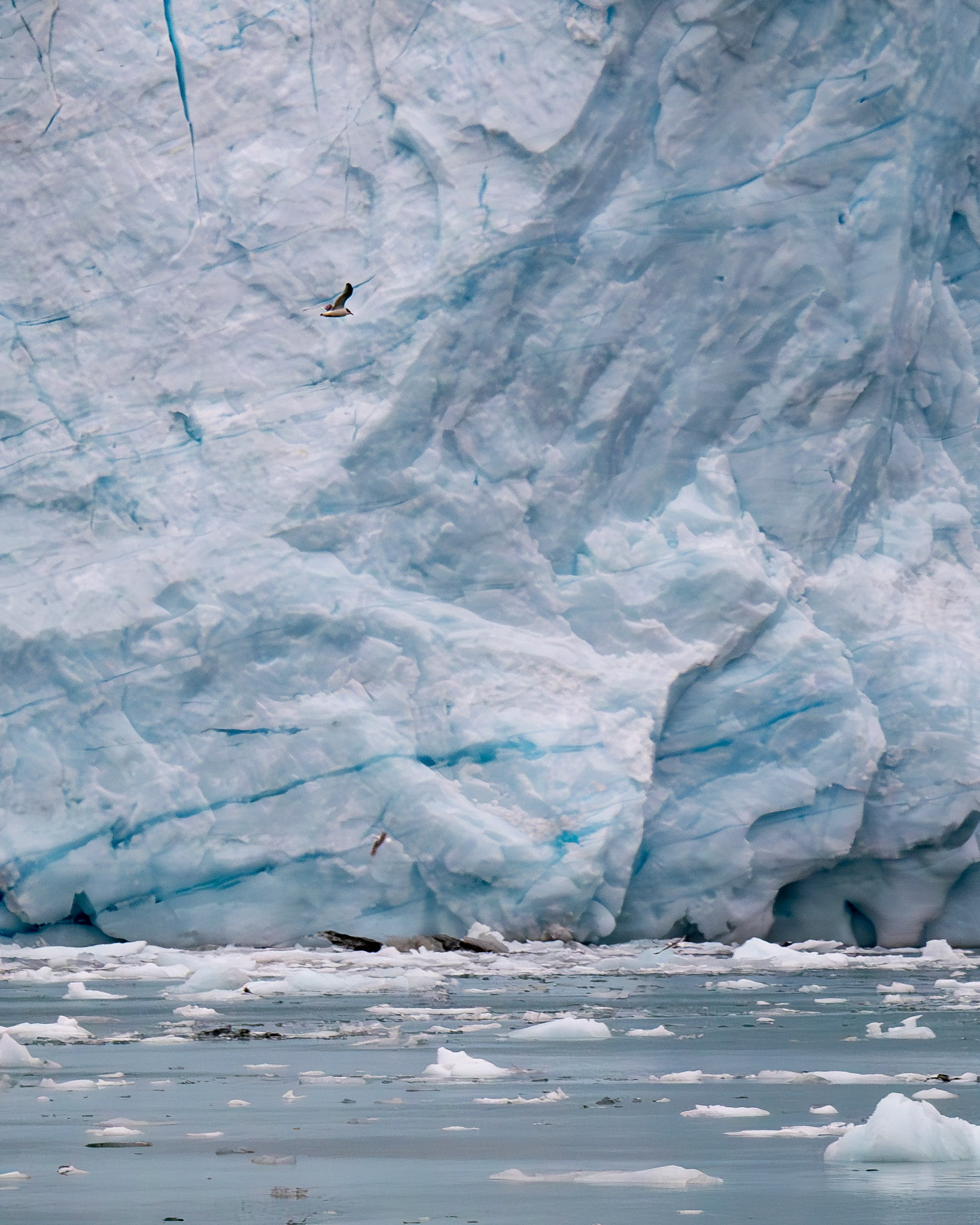 Alaska vacation in July, 2023 (Photo by Keith Sliney).