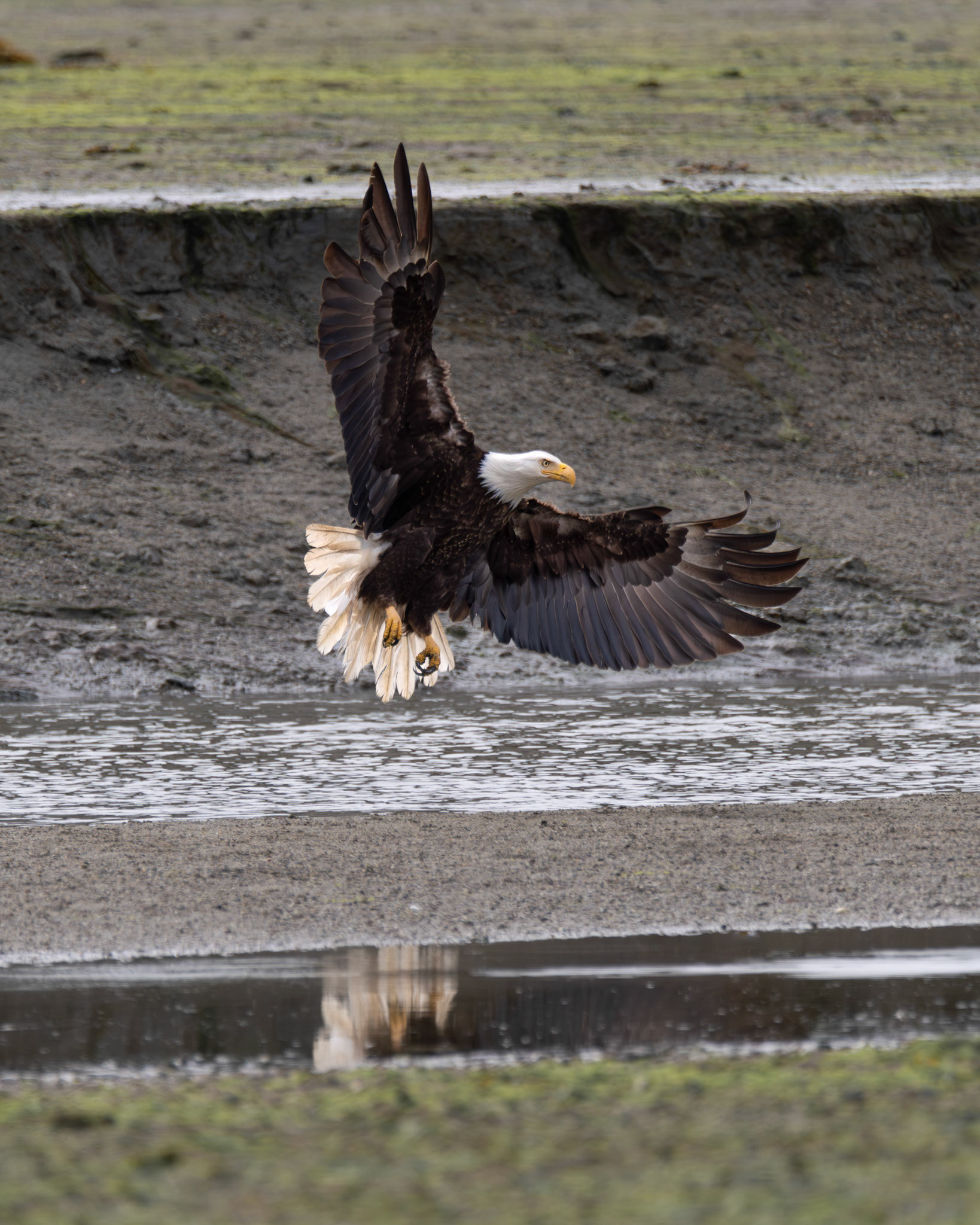 Alaska vacation in July, 2023 (Photo by Keith Sliney).