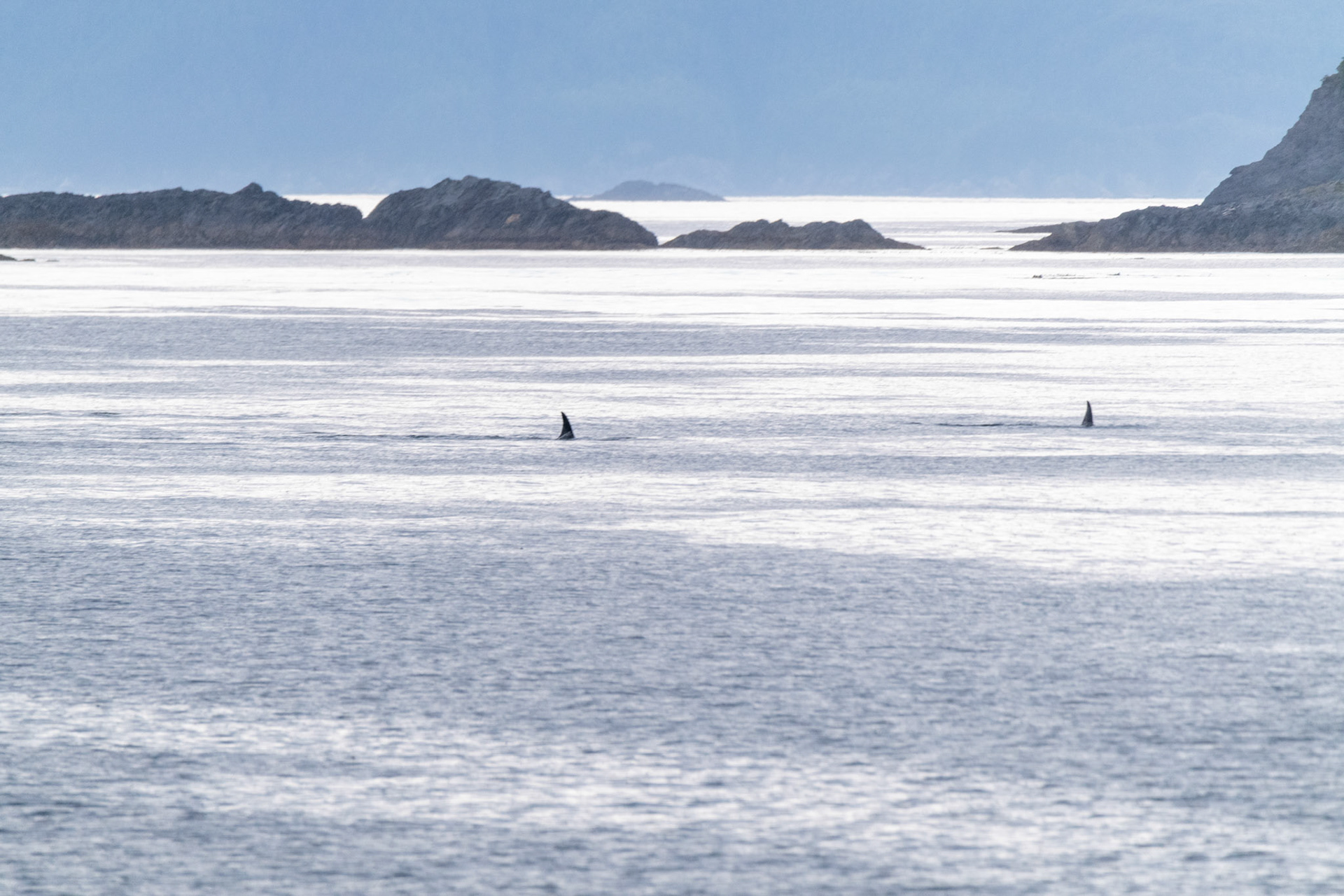 Alaska vacation in July, 2023 (Photo by Keith Sliney).