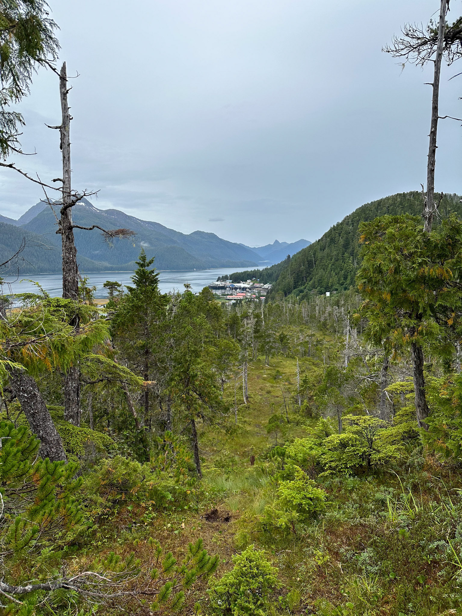 Alaska vacation in July, 2023 (Photo by Keith Sliney).