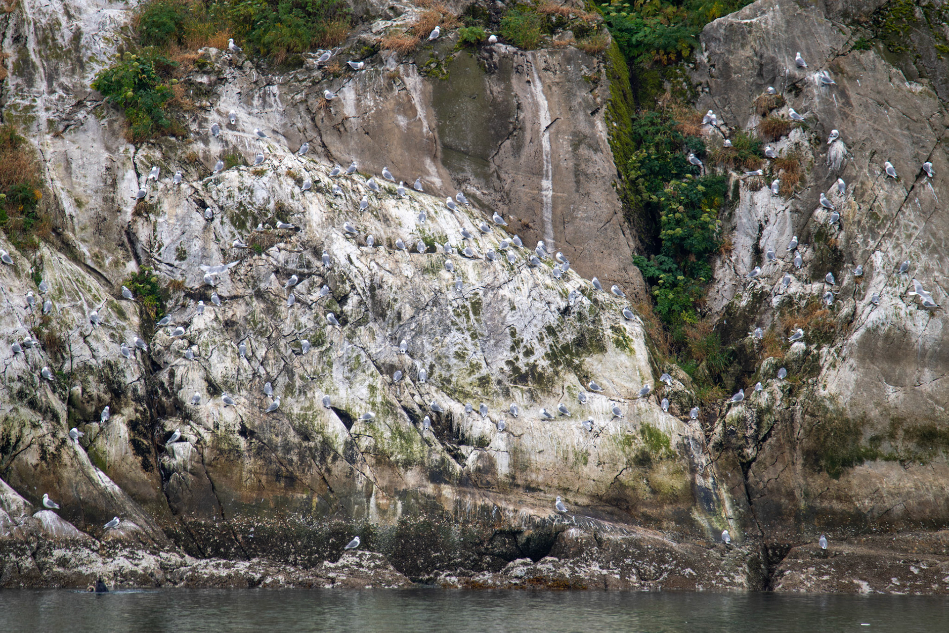 Alaska vacation in July, 2023 (Photo by Keith Sliney).