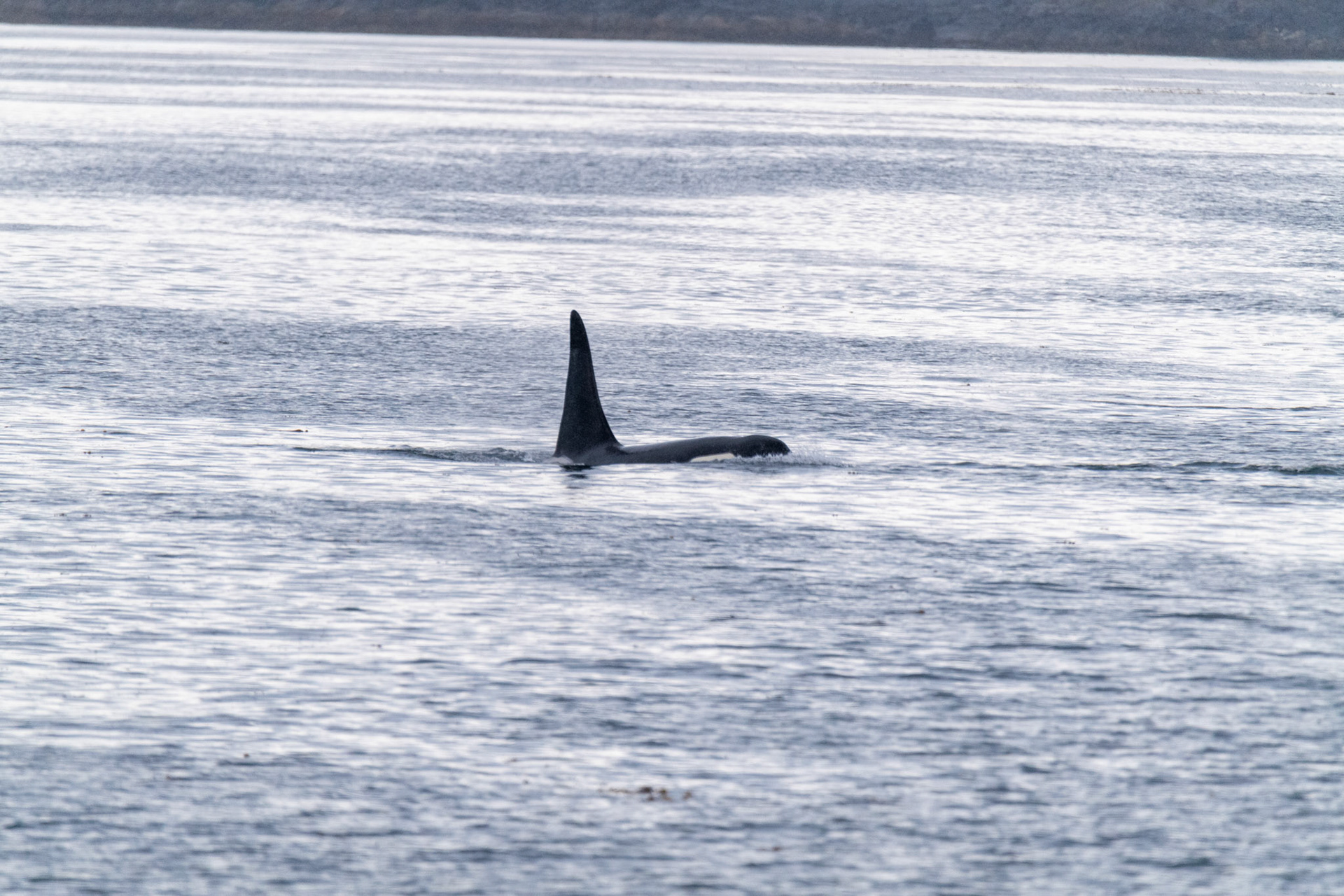 Alaska vacation in July, 2023 (Photo by Keith Sliney).
