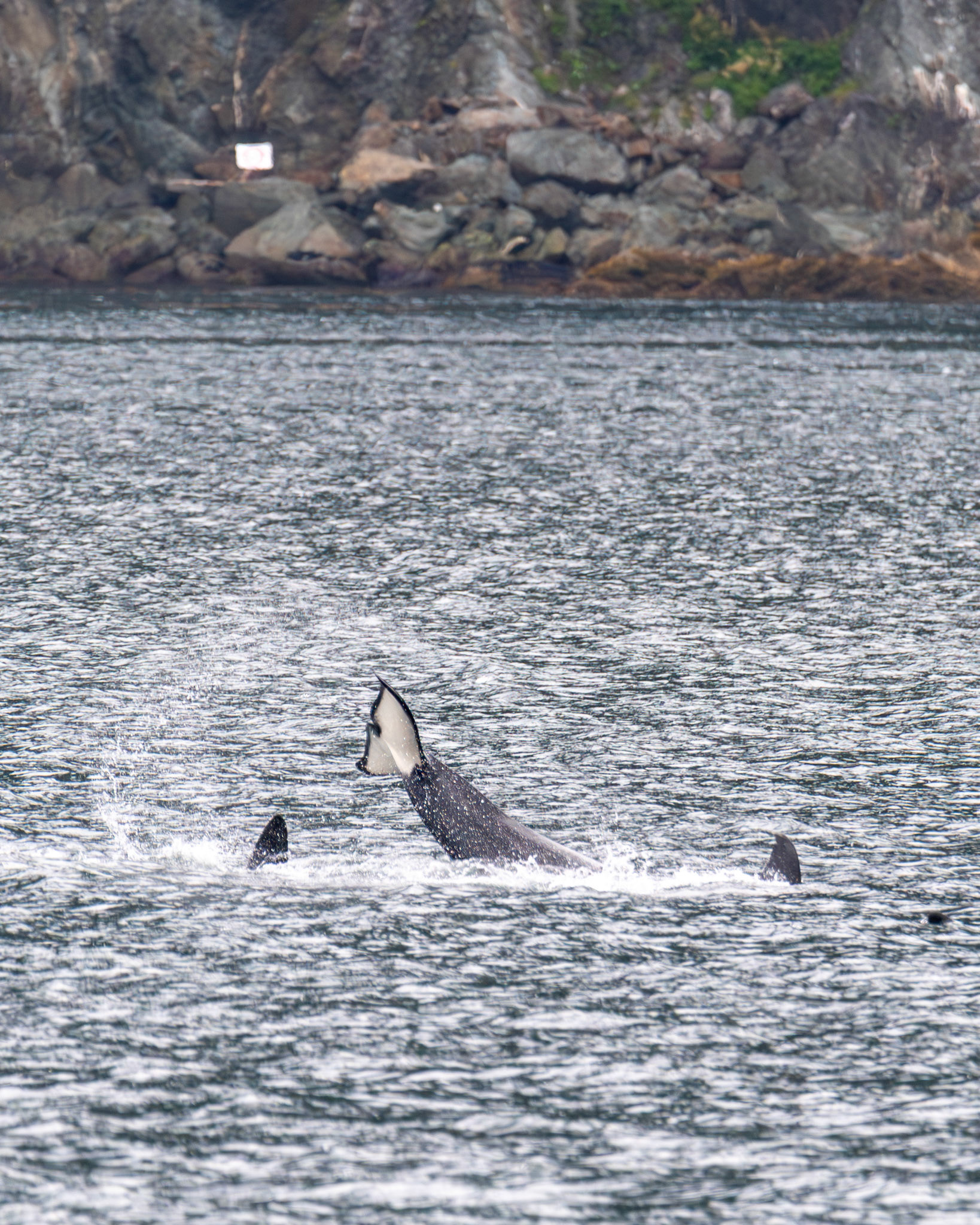 Alaska vacation in July, 2023 (Photo by Keith Sliney).