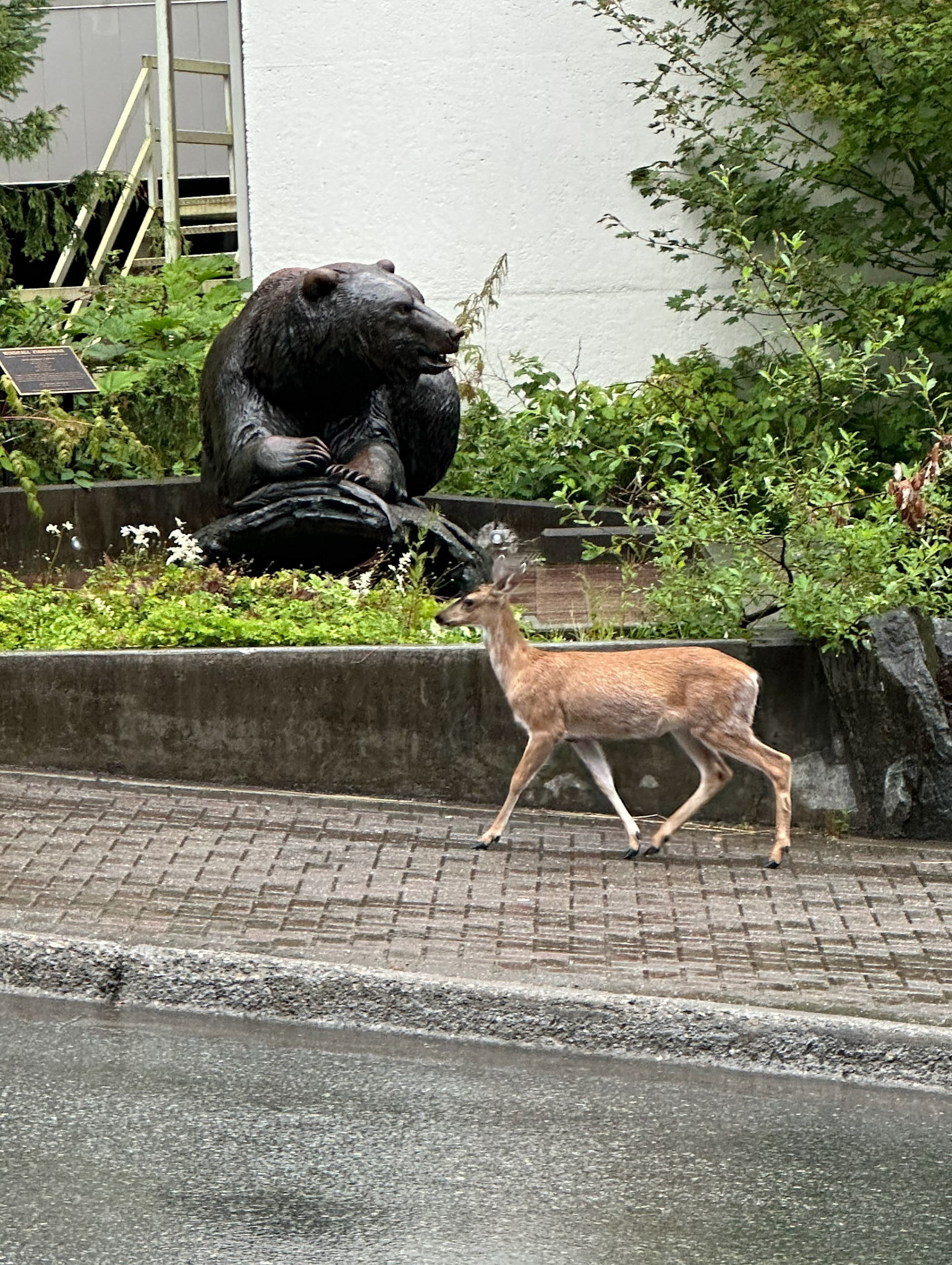 Alaska vacation in July, 2023 (Photo by Keith Sliney).