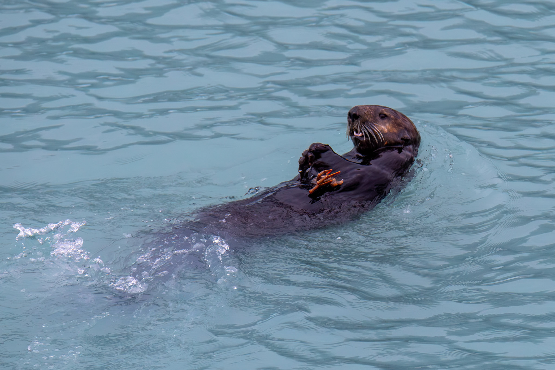 Alaska vacation in July, 2023 (Photo by Keith Sliney).