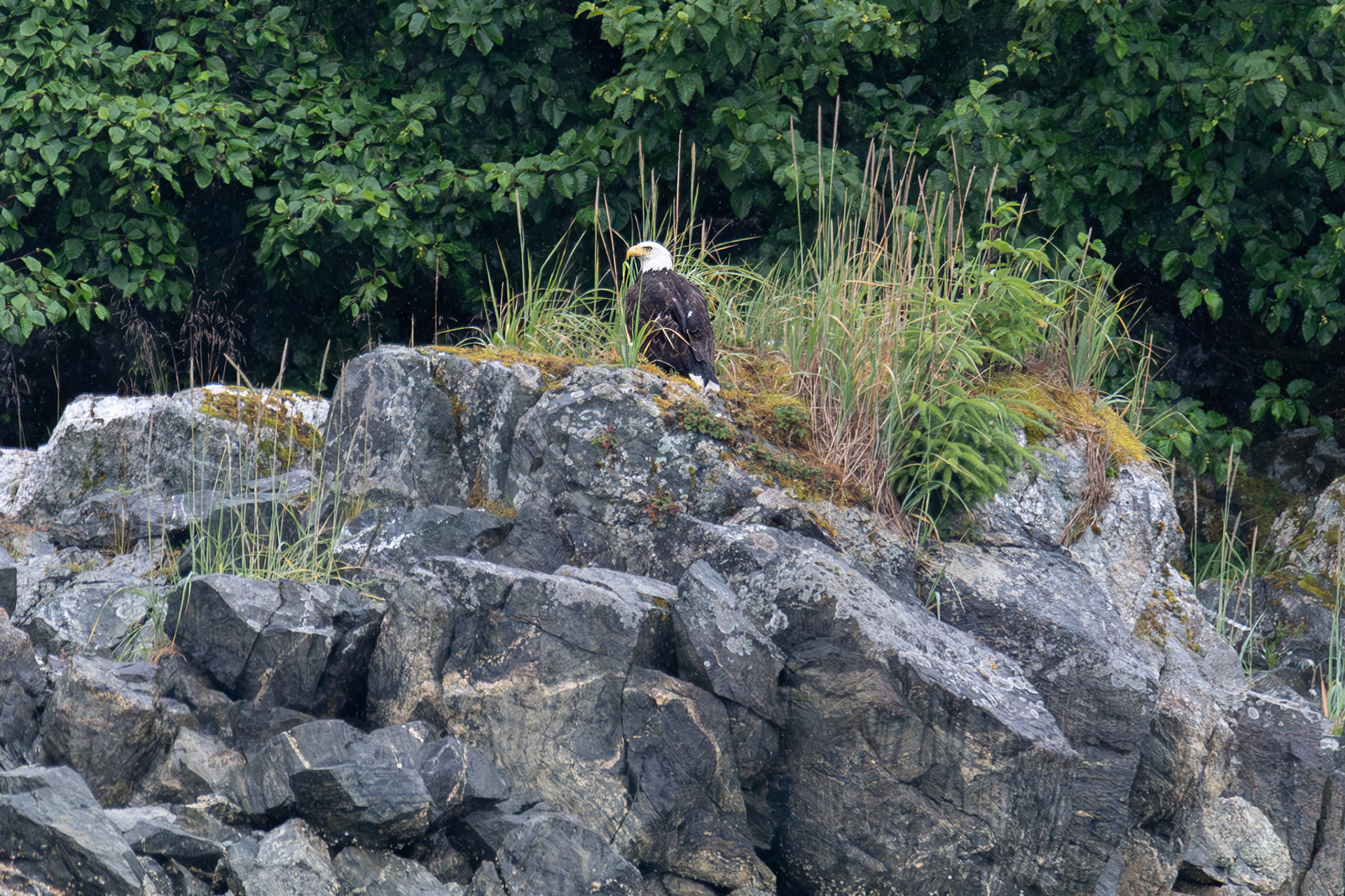 Alaska vacation in July, 2023 (Photo by Keith Sliney).