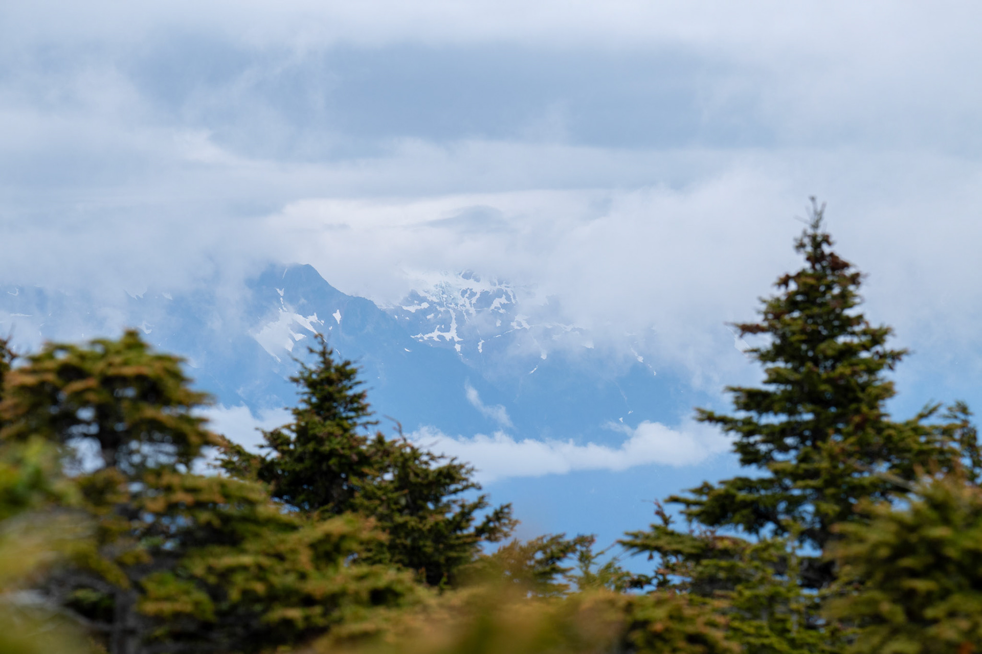 Alaska vacation in July, 2023 (Photo by Keith Sliney).