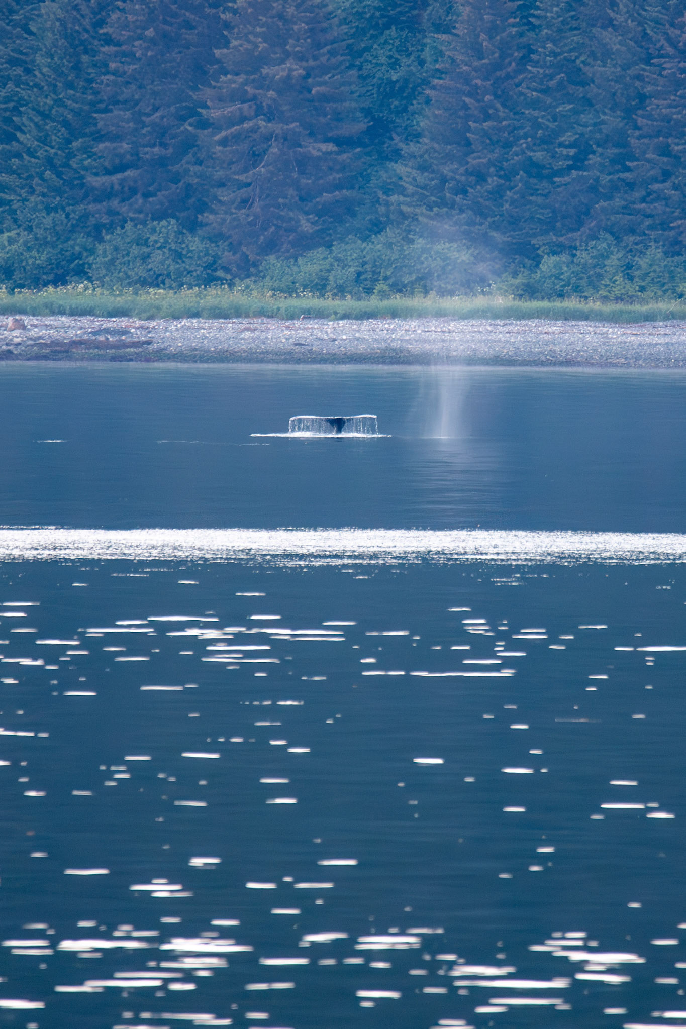Alaska vacation in July, 2023 (Photo by Keith Sliney).