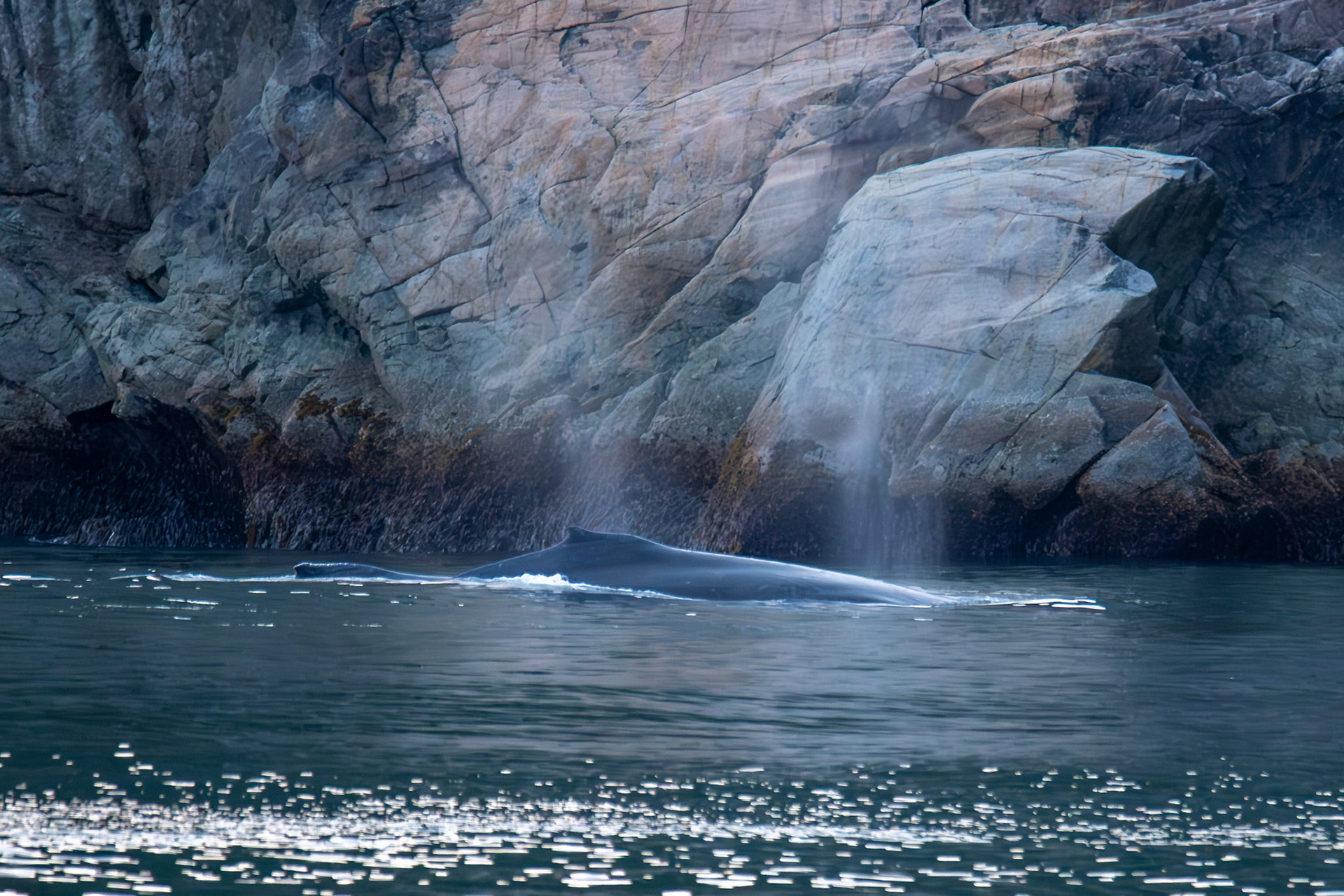 Alaska vacation in July, 2023 (Photo by Keith Sliney).