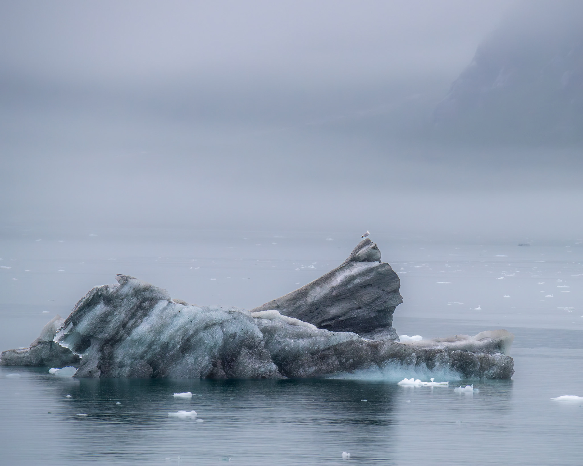 Alaska vacation in July, 2023 (Photo by Keith Sliney).