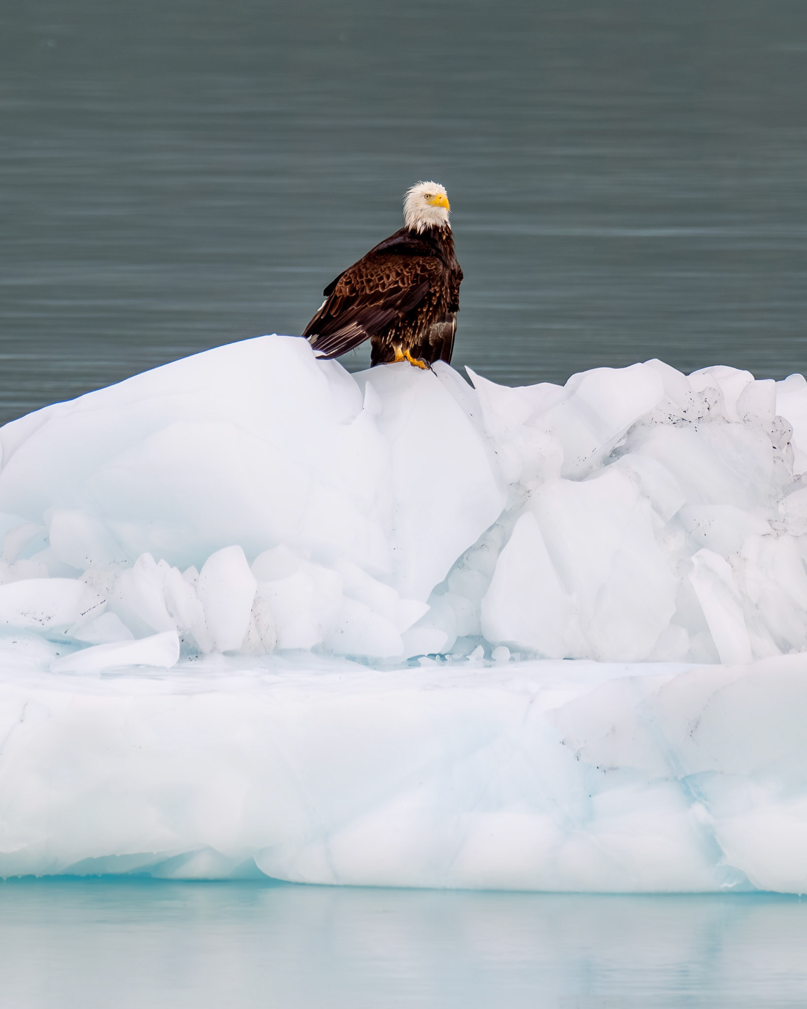 Alaska vacation in July, 2023 (Photo by Keith Sliney).