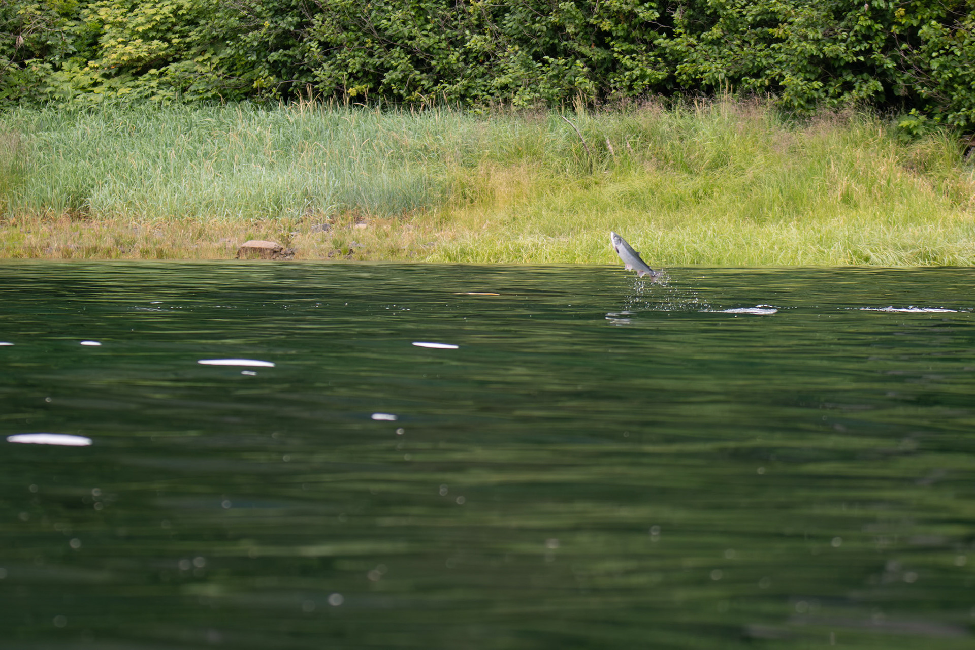 Alaska vacation in July, 2023 (Photo by Keith Sliney).