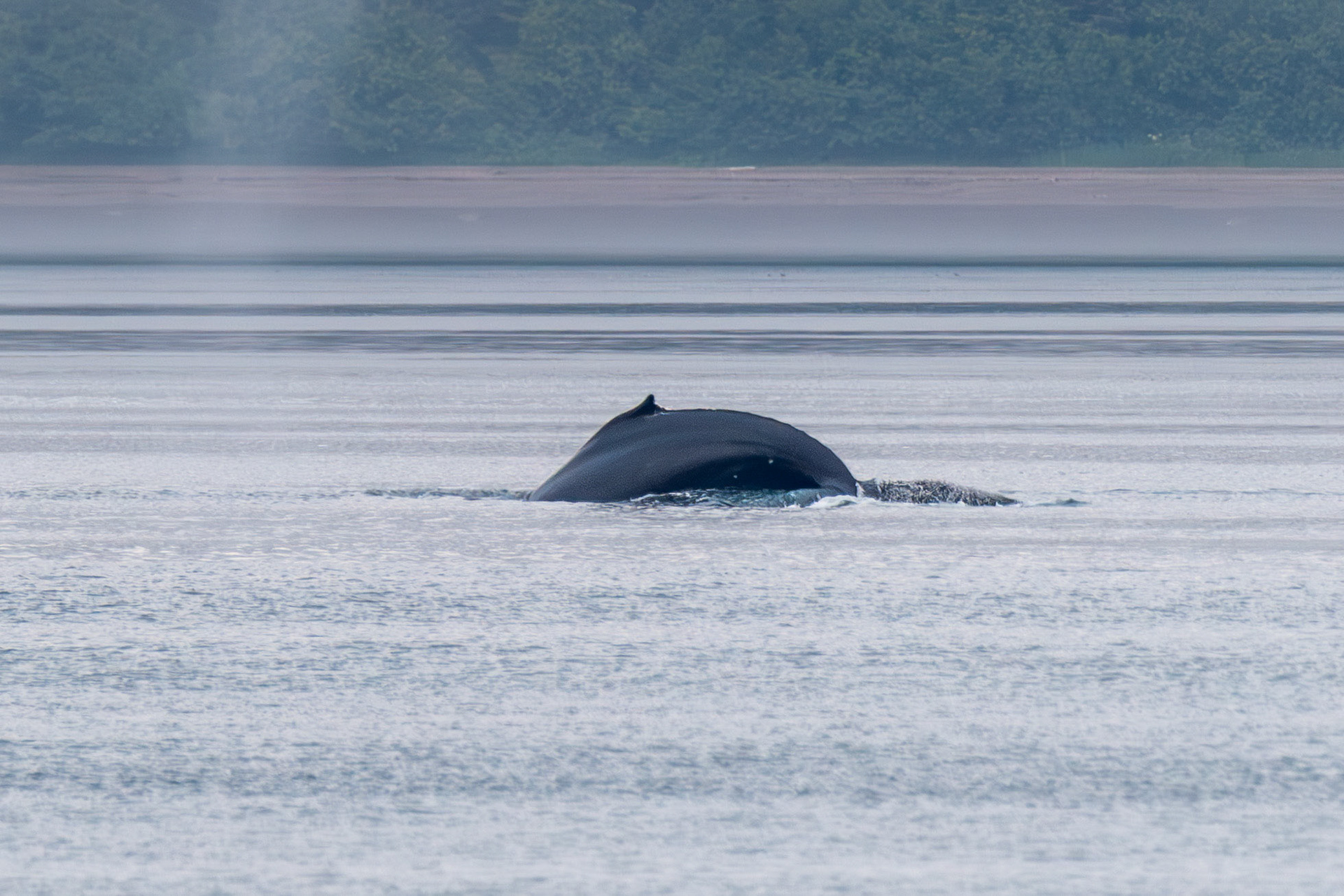 Alaska vacation in July, 2023 (Photo by Keith Sliney).