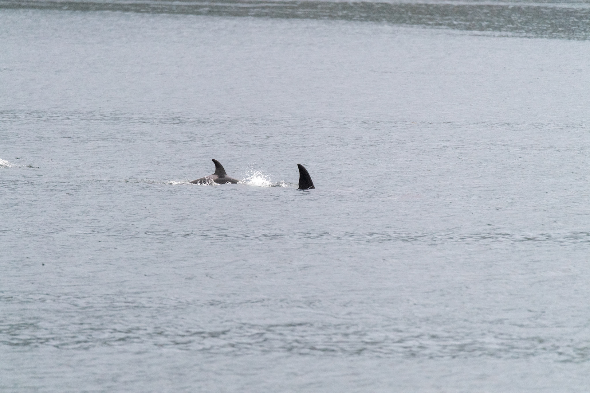 Alaska vacation in July, 2023 (Photo by Keith Sliney).