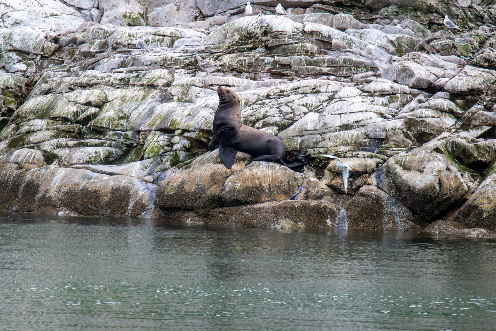 Alaska vacation in July, 2023 (Photo by Keith Sliney).
