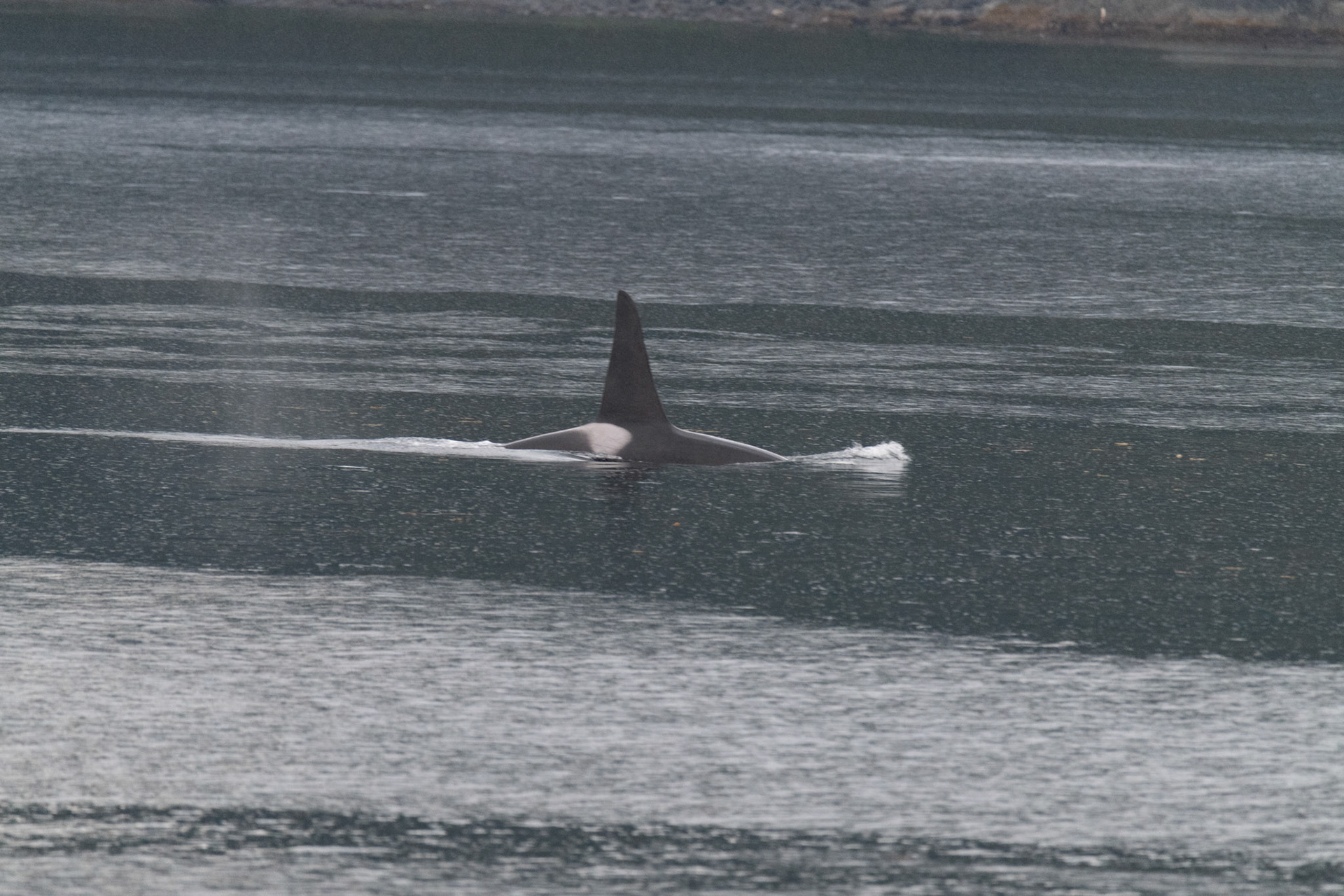 Alaska vacation in July, 2023 (Photo by Keith Sliney).