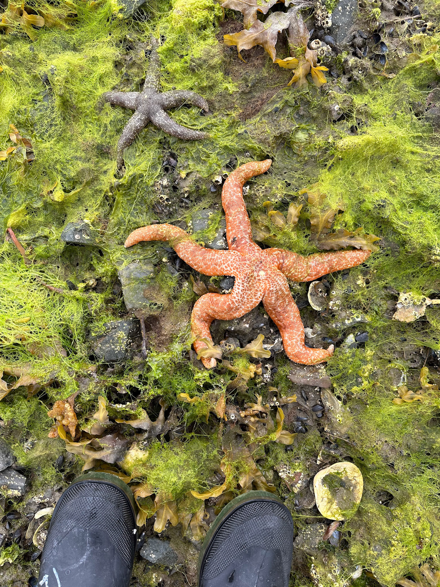 Alaska vacation in July, 2023 (Photo by Keith Sliney).