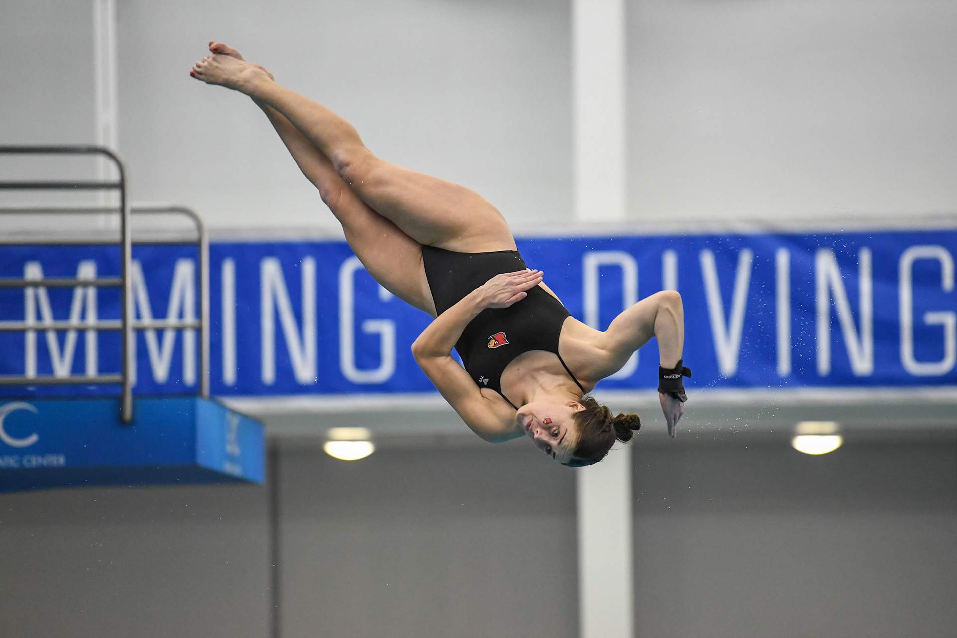 GREENSBORO, NC - FEBRUARY 20, 2019: University of Louisville Dive Team compete in 3-meter Finals at the ACC Swimming &amp; Diving Championship in Greensboro, North Carolina (Photo by Keith Sliney).