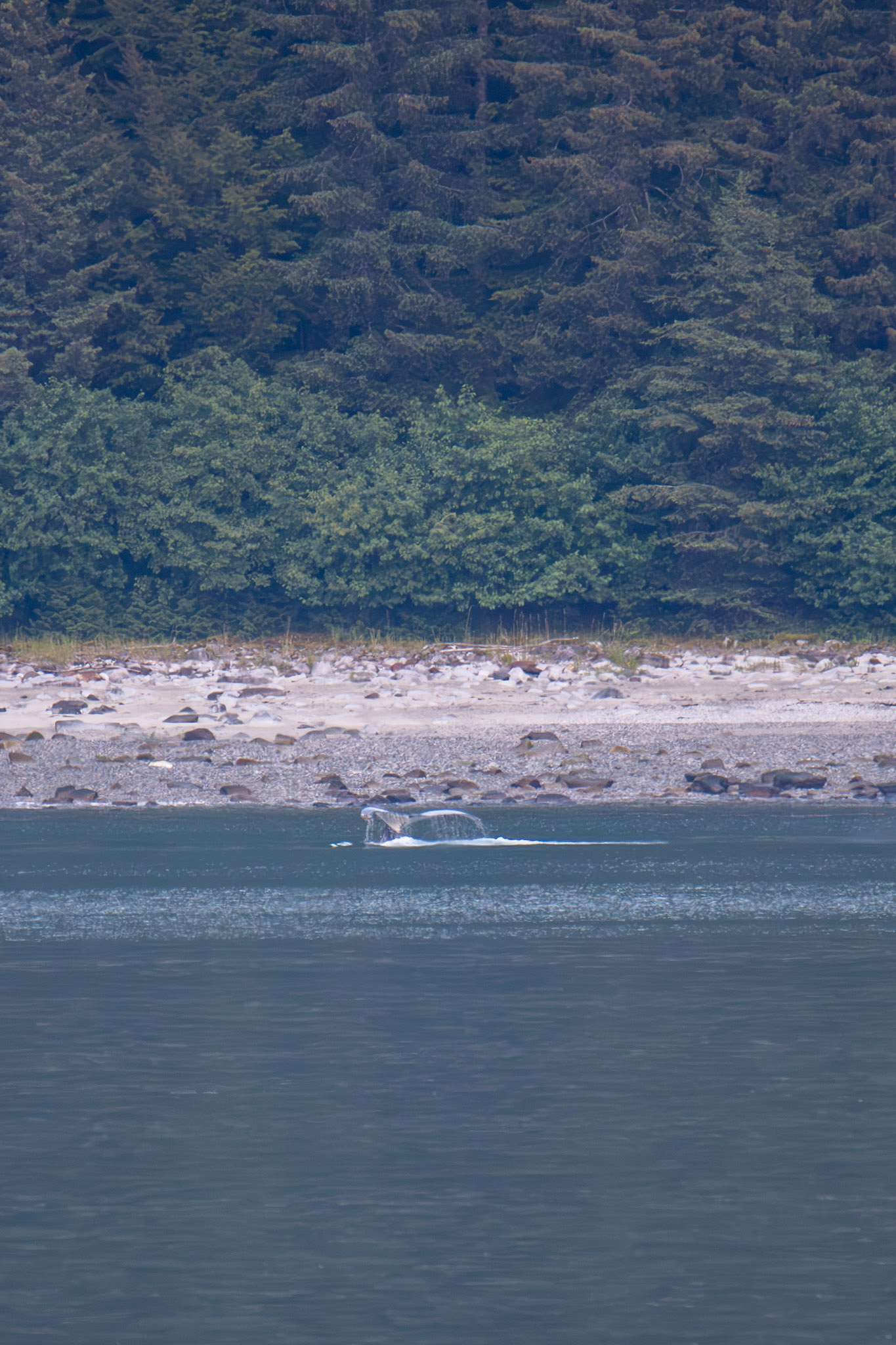Alaska vacation in July, 2023 (Photo by Keith Sliney).