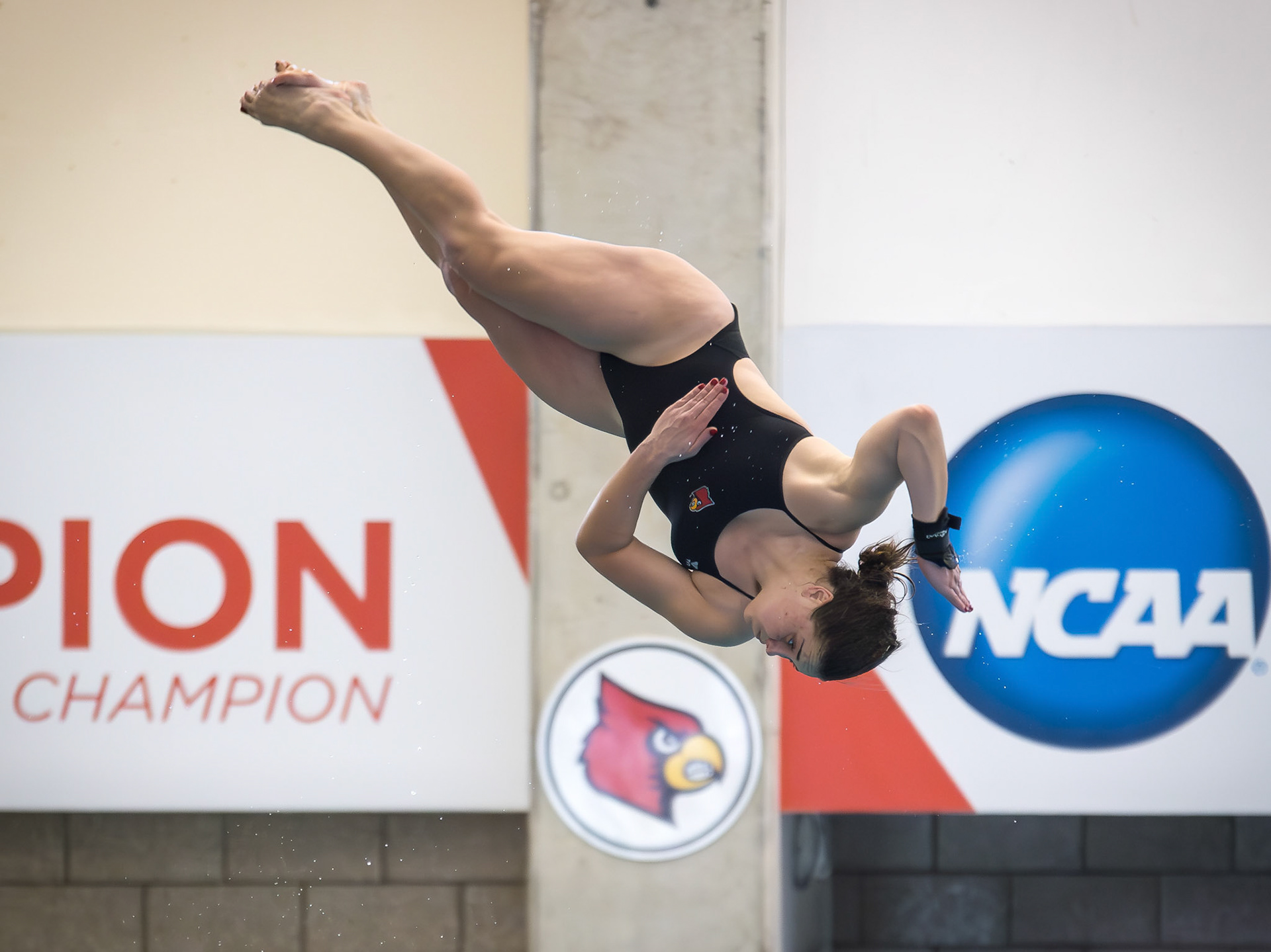 Day 1 of University of Louisville Swim &amp; Dive vs Michigan on October 20, 2017. Photo by Keith Sliney.