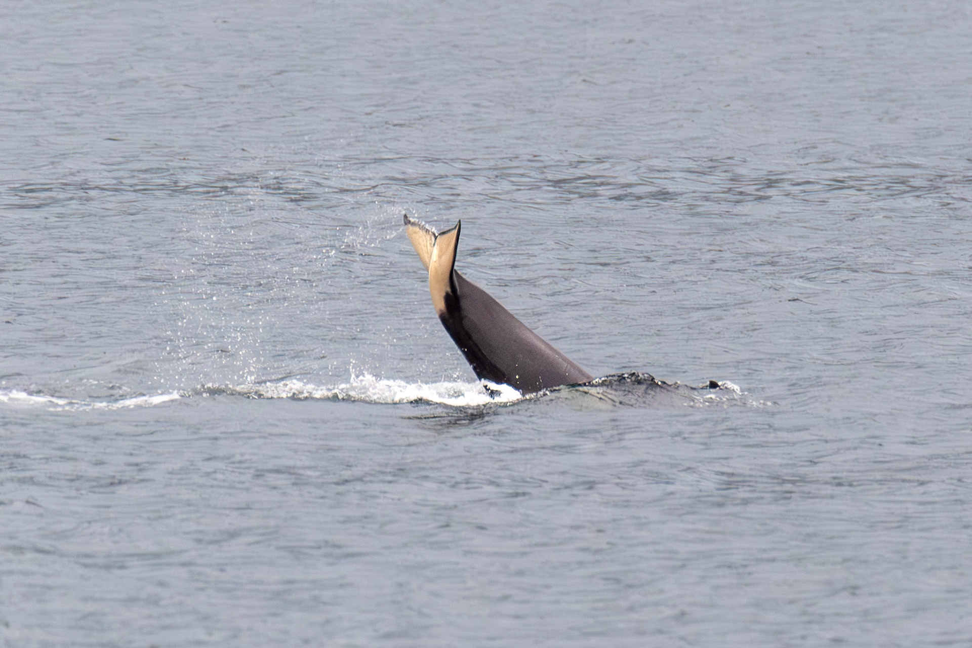 Alaska vacation in July, 2023 (Photo by Keith Sliney).