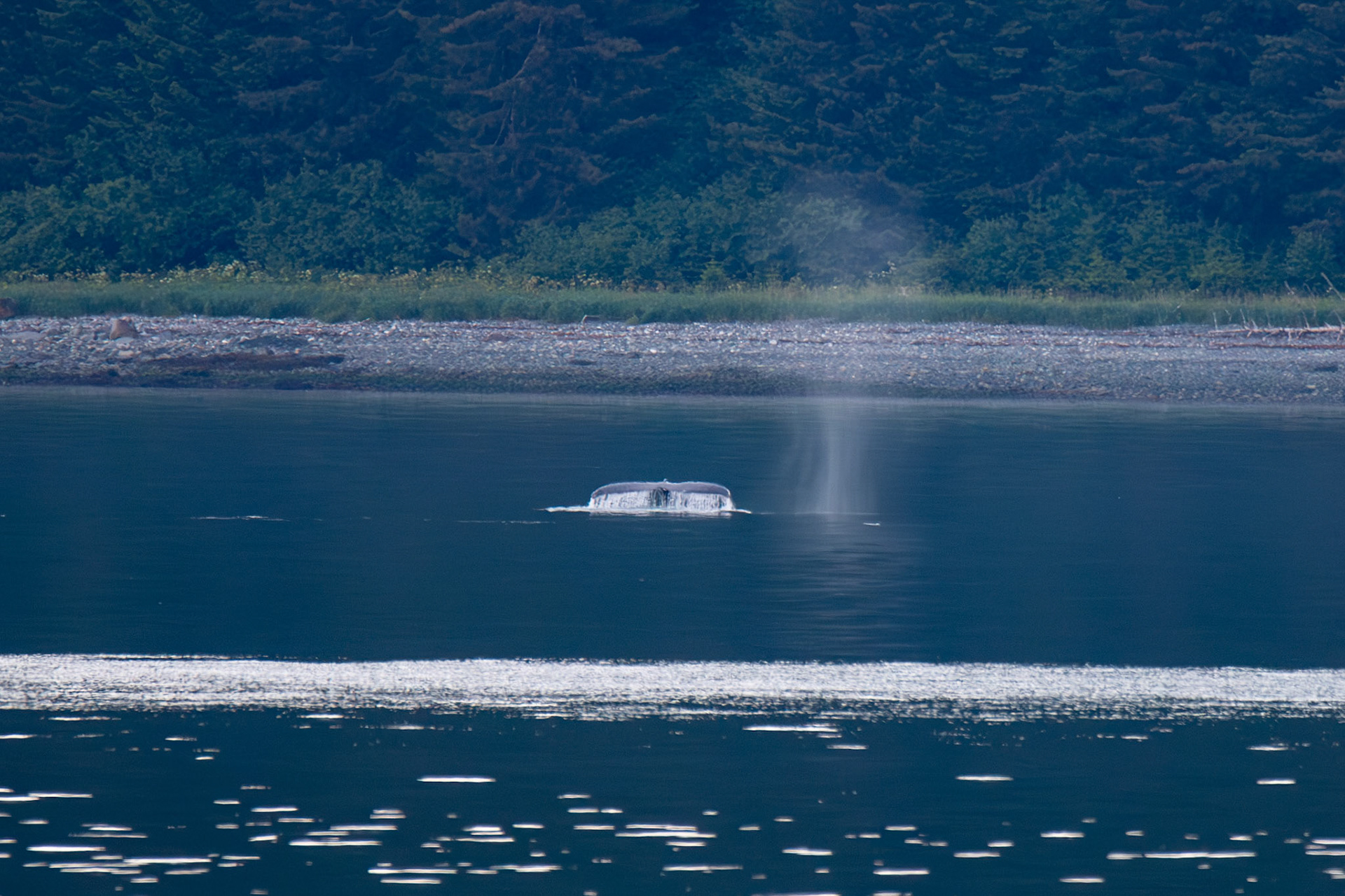 Alaska vacation in July, 2023 (Photo by Keith Sliney).