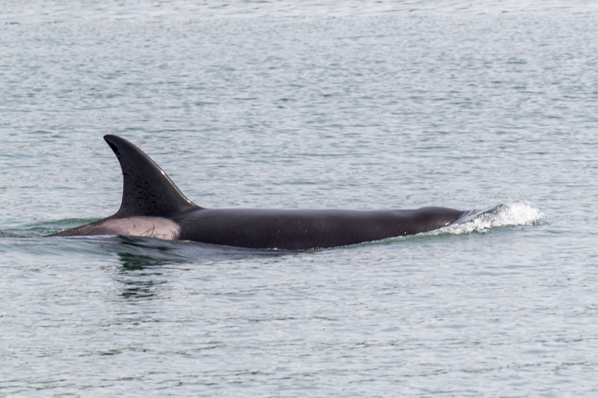Alaska vacation in July, 2023 (Photo by Keith Sliney).