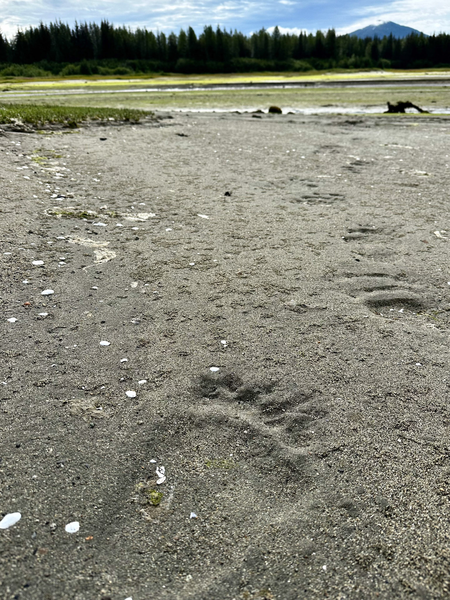 Alaska vacation in July, 2023 (Photo by Keith Sliney).