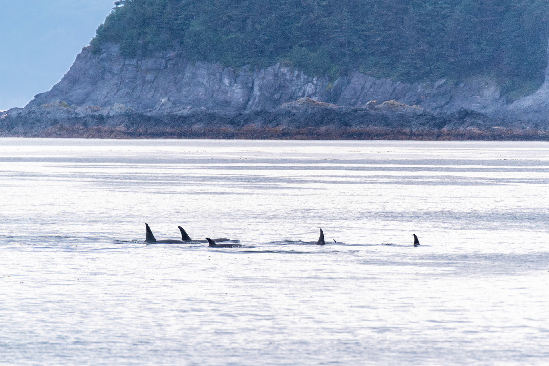 Alaska vacation in July, 2023 (Photo by Keith Sliney).