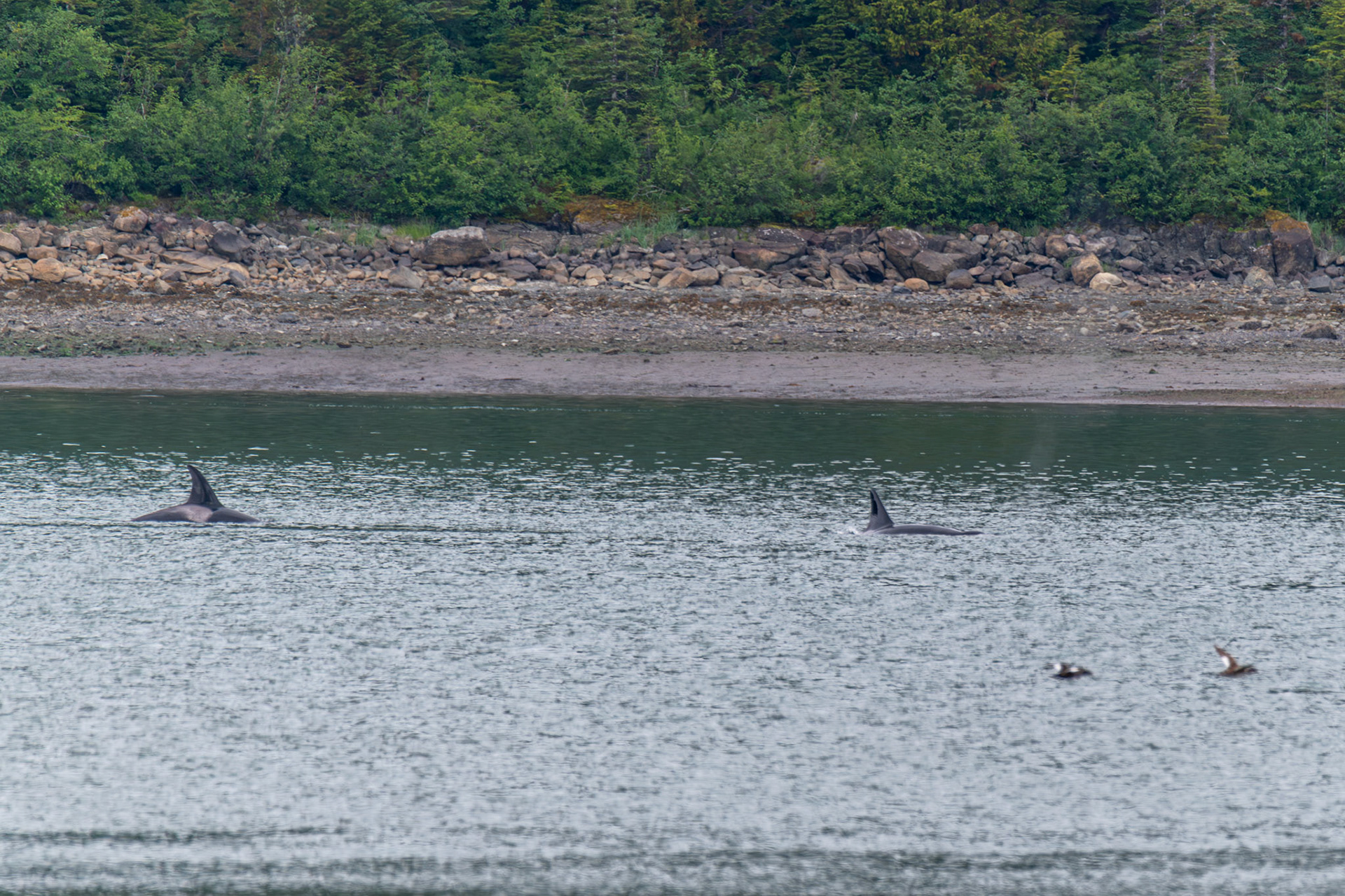 Alaska vacation in July, 2023 (Photo by Keith Sliney).