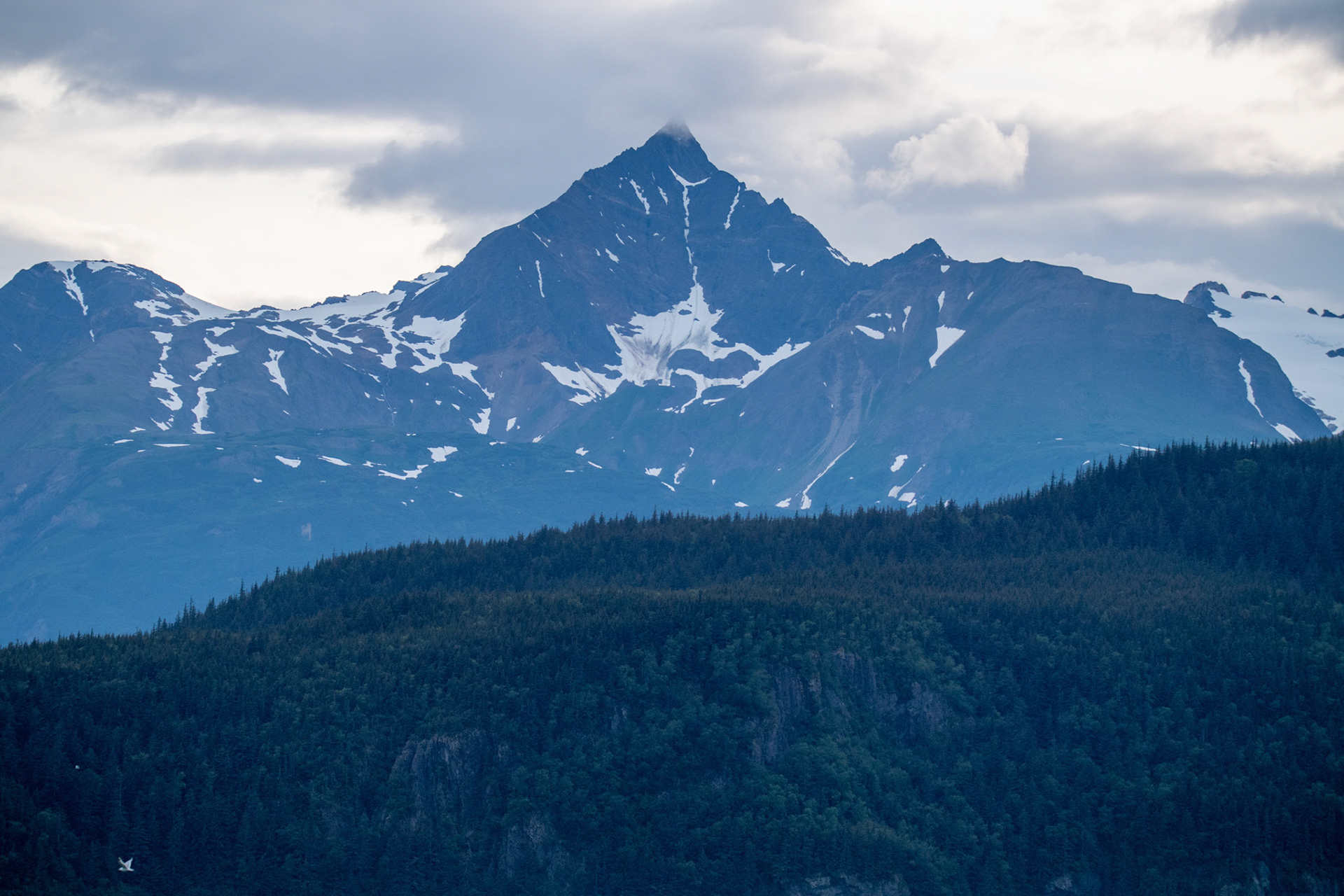 Alaska vacation in July, 2023 (Photo by Keith Sliney).