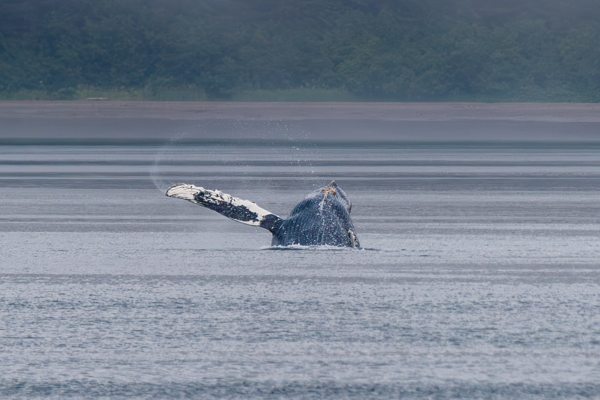 Alaska vacation in July, 2023 (Photo by Keith Sliney).
