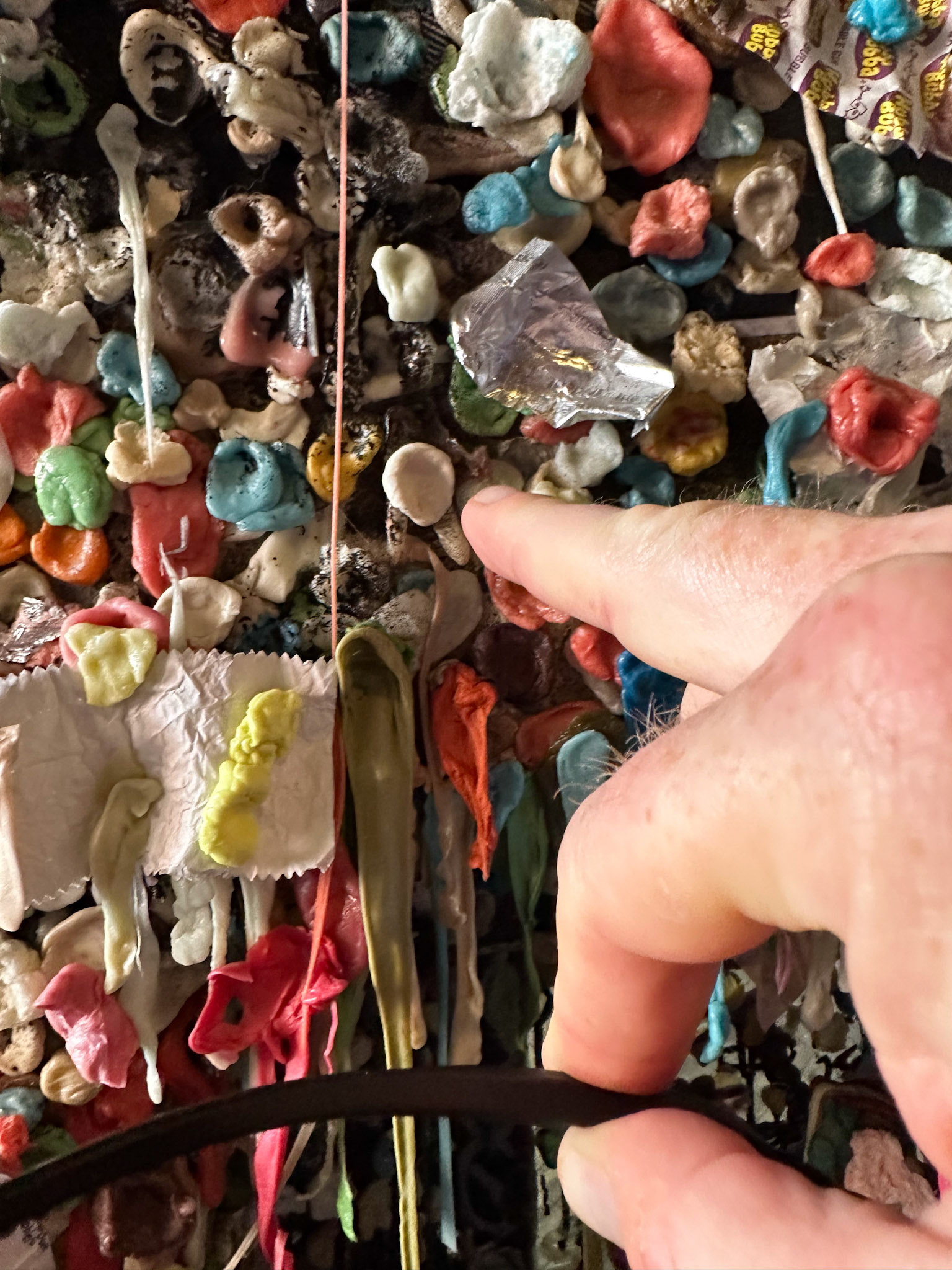 Alaska vacation in July, 2023 (Photo by Keith Sliney).