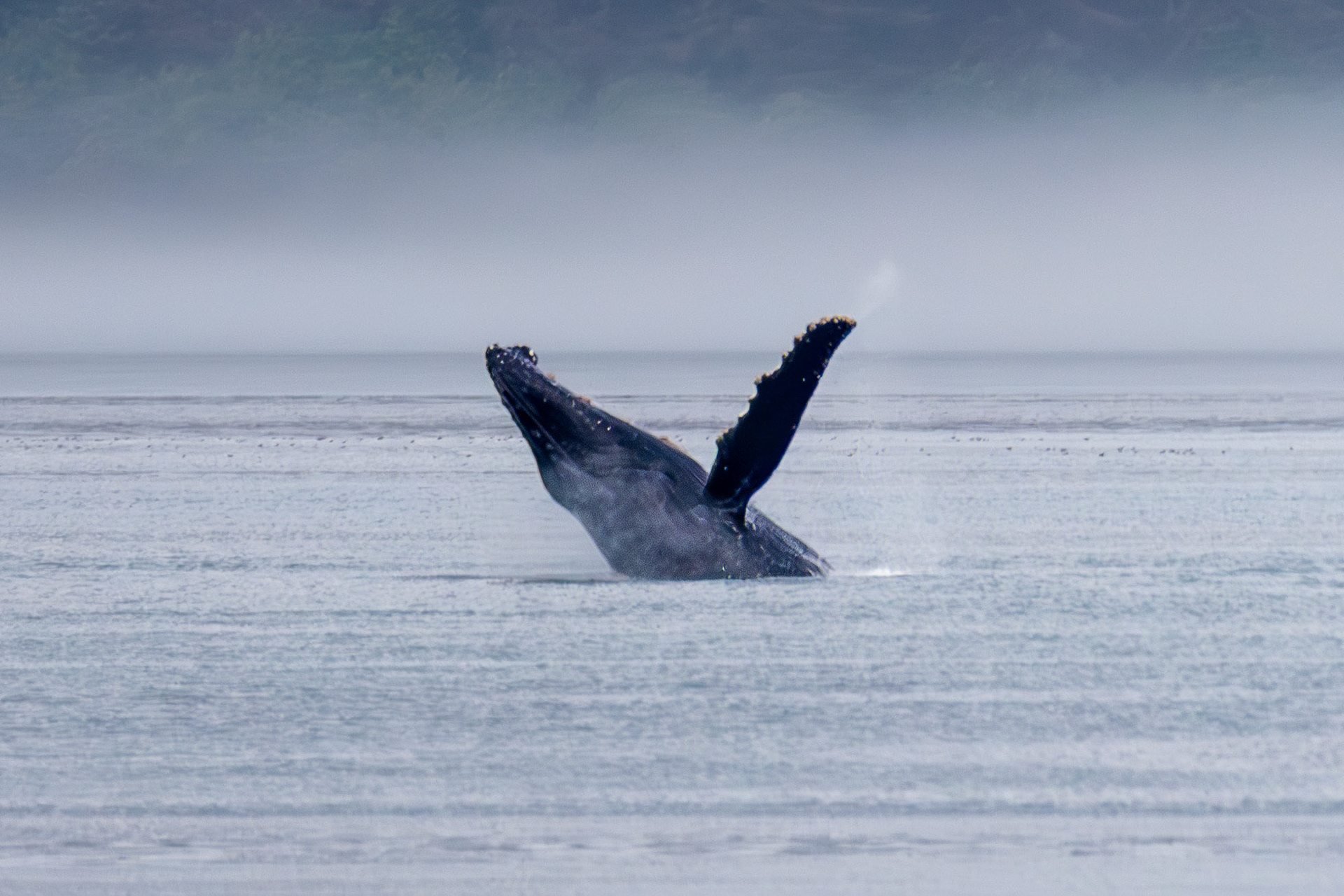Alaska vacation in July, 2023 (Photo by Keith Sliney).