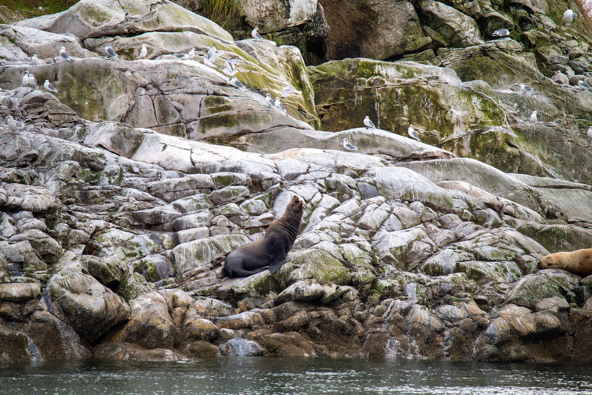 Alaska vacation in July, 2023 (Photo by Keith Sliney).