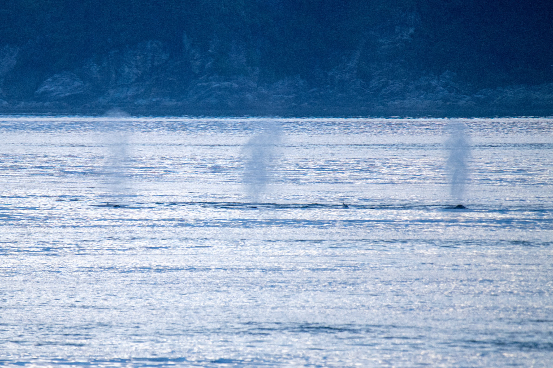 Alaska vacation in July, 2023 (Photo by Keith Sliney).