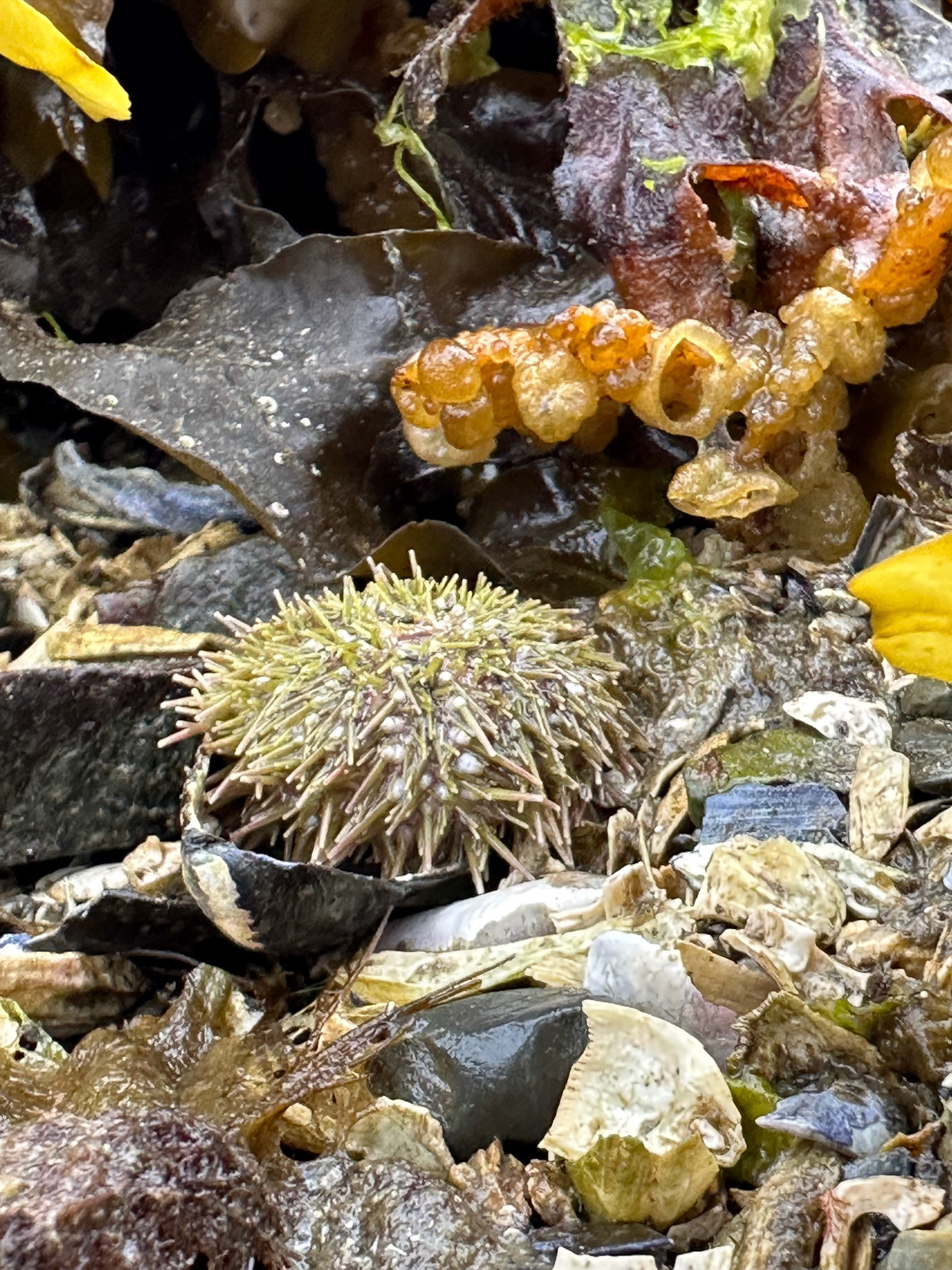 Alaska vacation in July, 2023 (Photo by Keith Sliney).