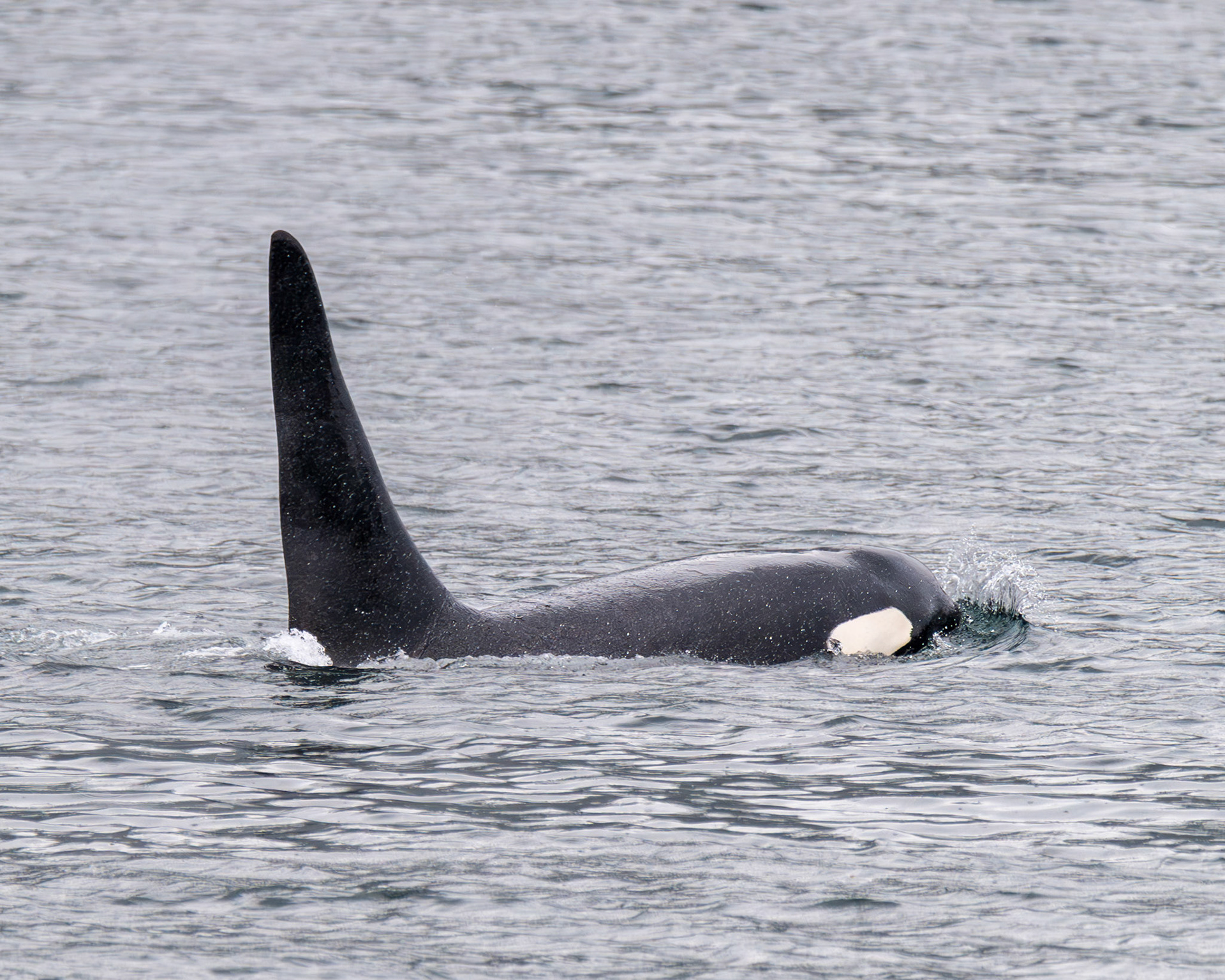 Alaska vacation in July, 2023 (Photo by Keith Sliney).