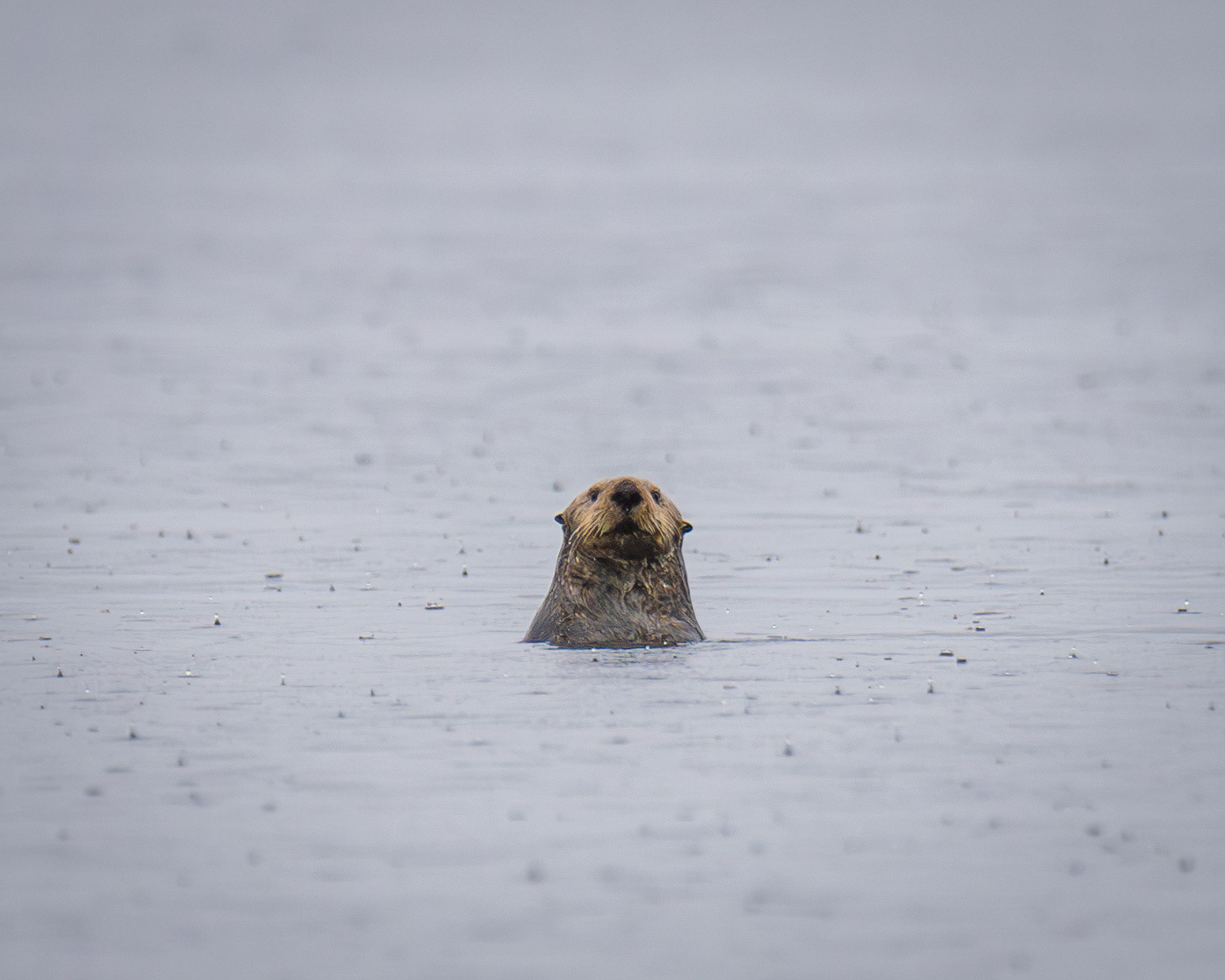 Alaska vacation in July, 2023 (Photo by Keith Sliney).