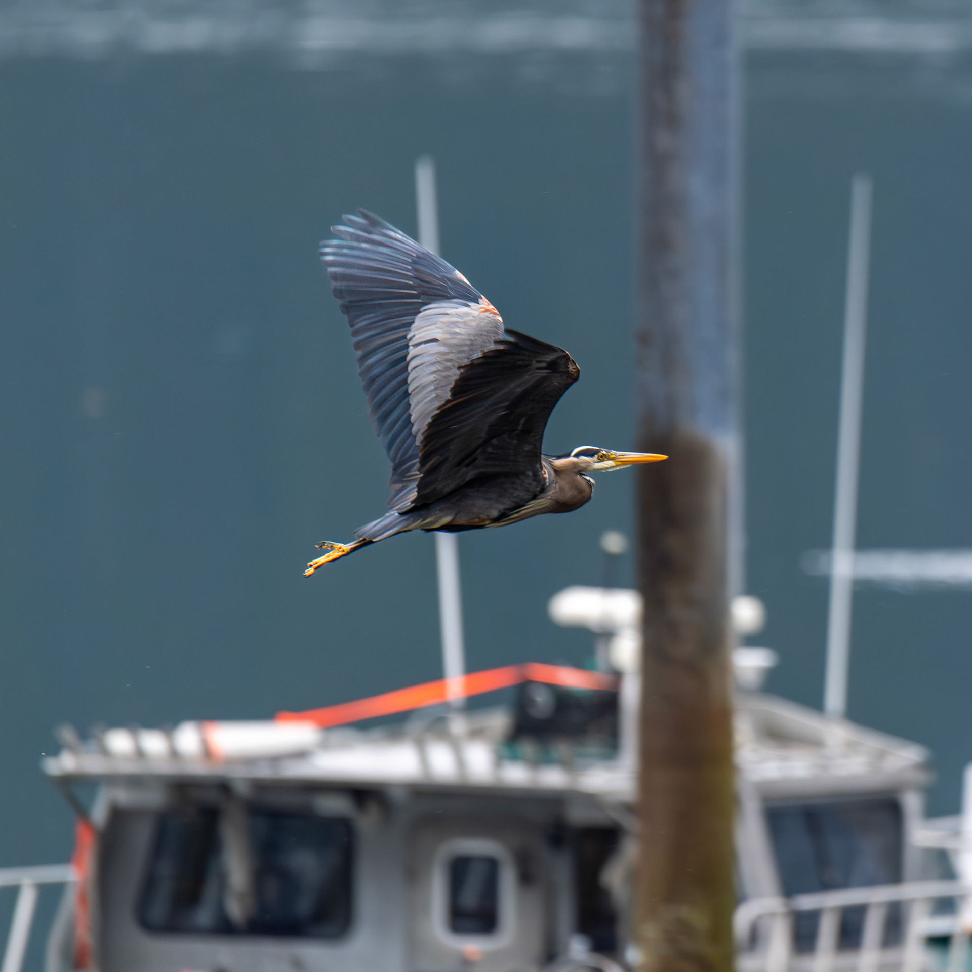 Alaska vacation in July, 2023 (Photo by Keith Sliney).