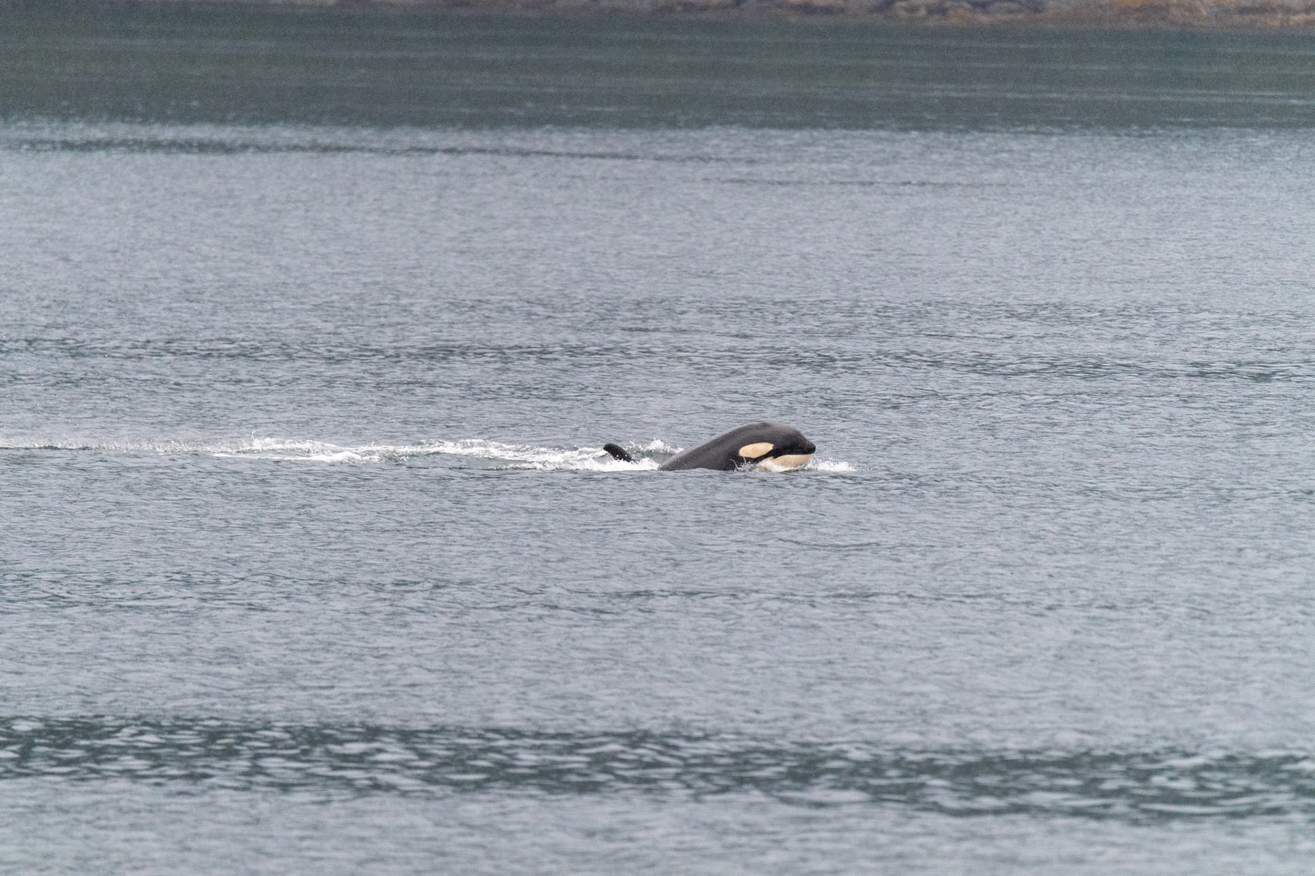 Alaska vacation in July, 2023 (Photo by Keith Sliney).