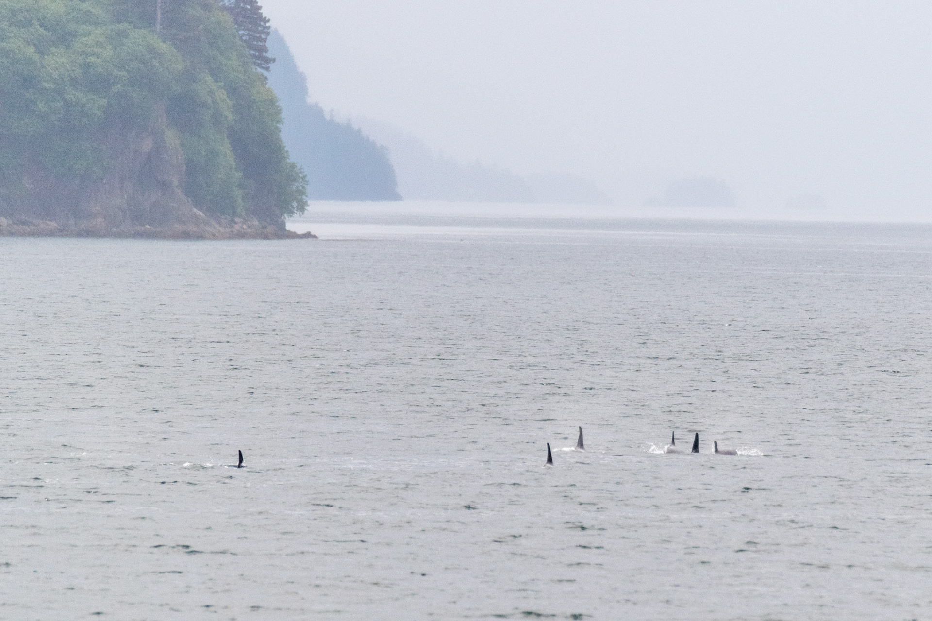 Alaska vacation in July, 2023 (Photo by Keith Sliney).