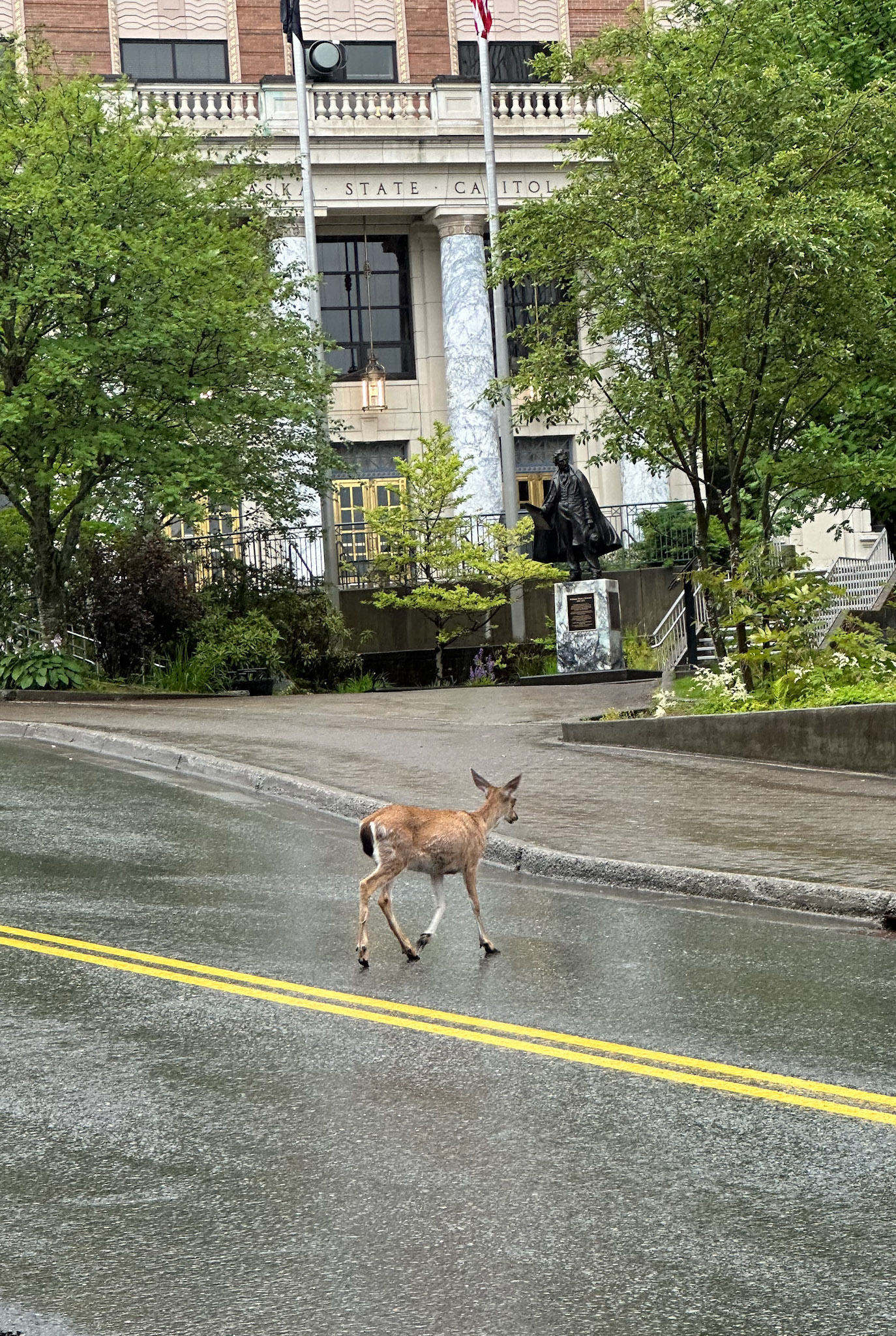 Alaska vacation in July, 2023 (Photo by Keith Sliney).