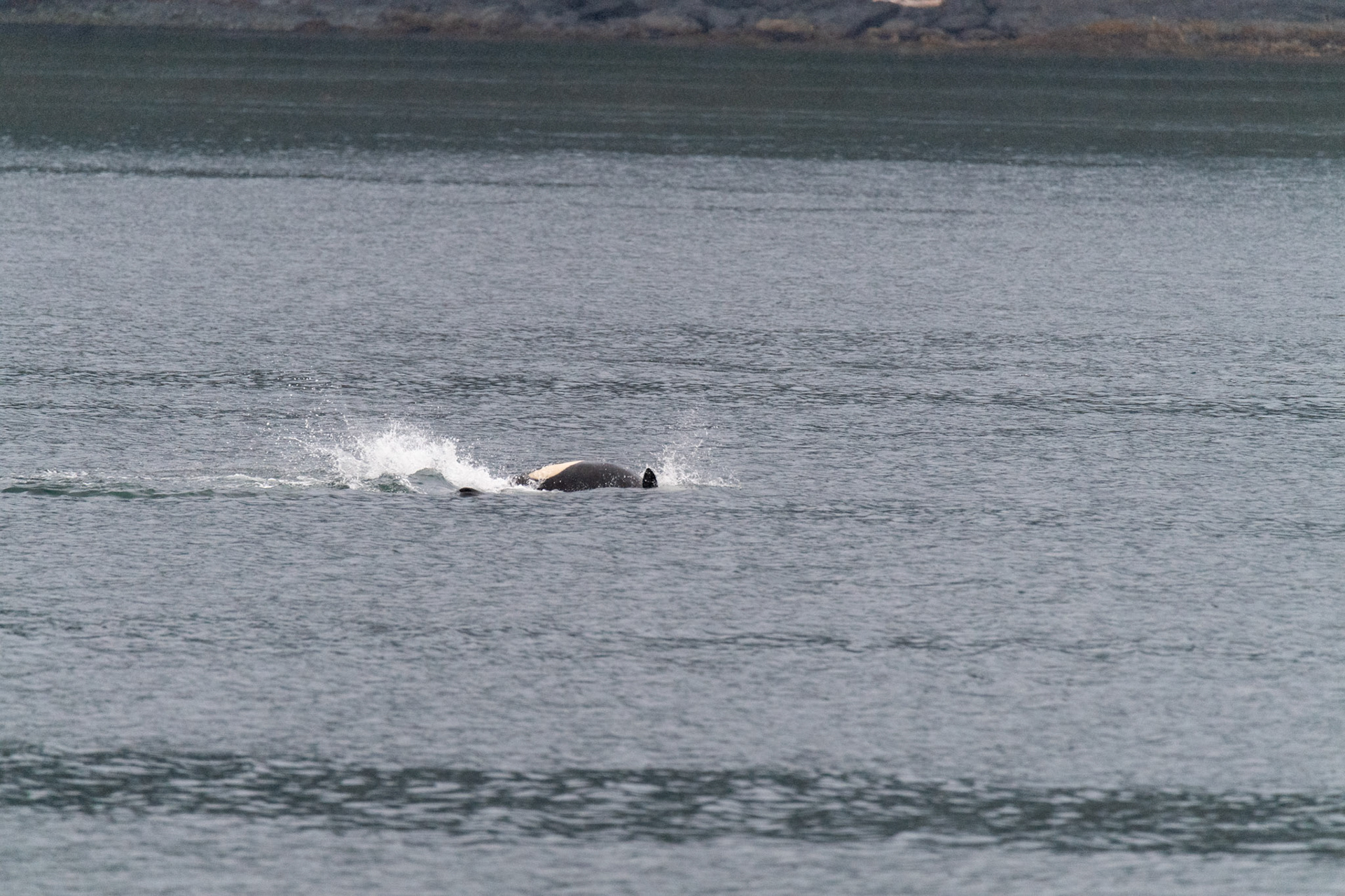 Alaska vacation in July, 2023 (Photo by Keith Sliney).