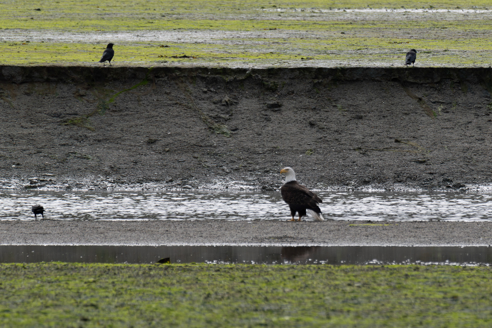 Alaska vacation in July, 2023 (Photo by Keith Sliney).