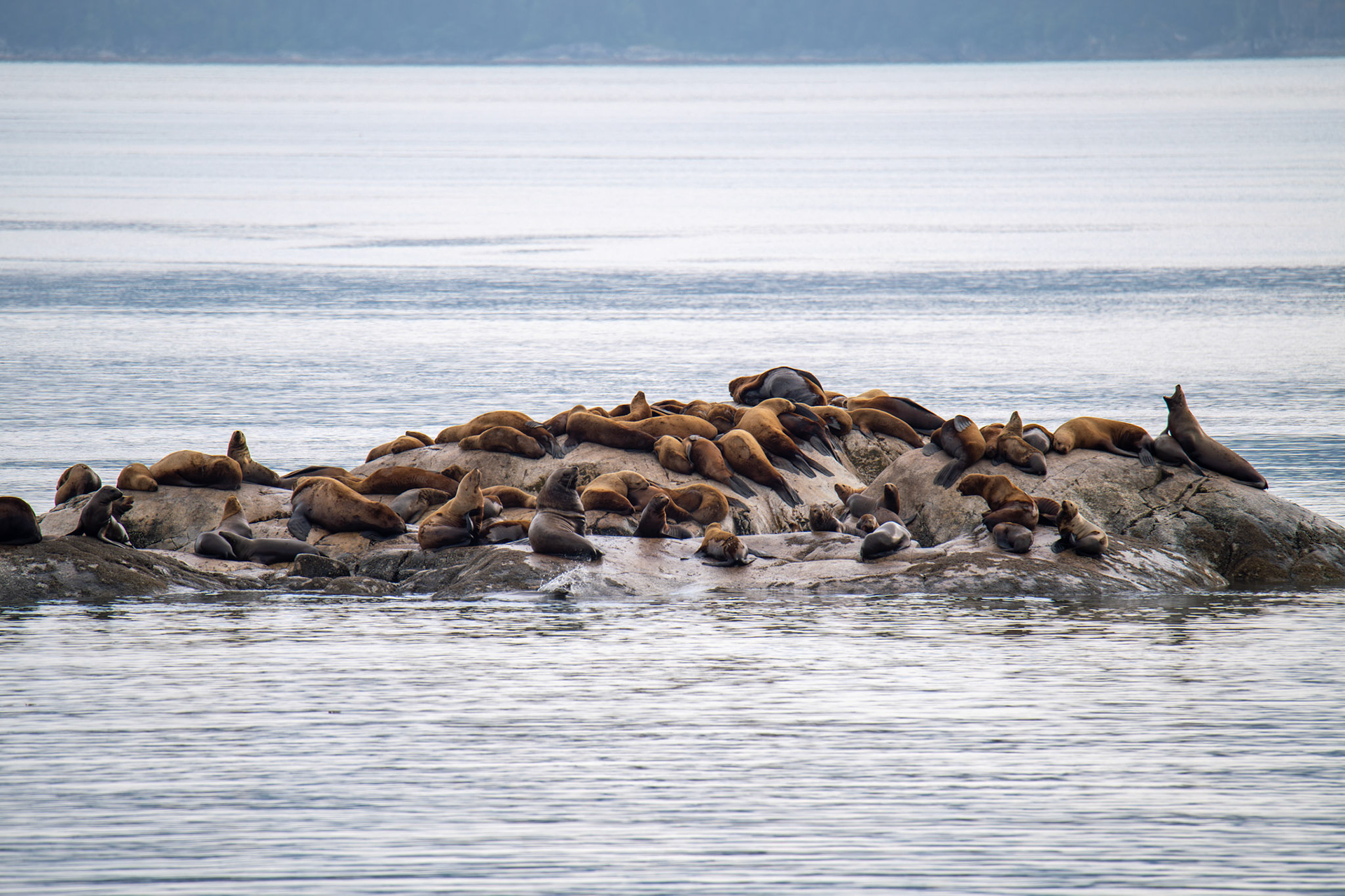 Alaska vacation in July, 2023 (Photo by Keith Sliney).