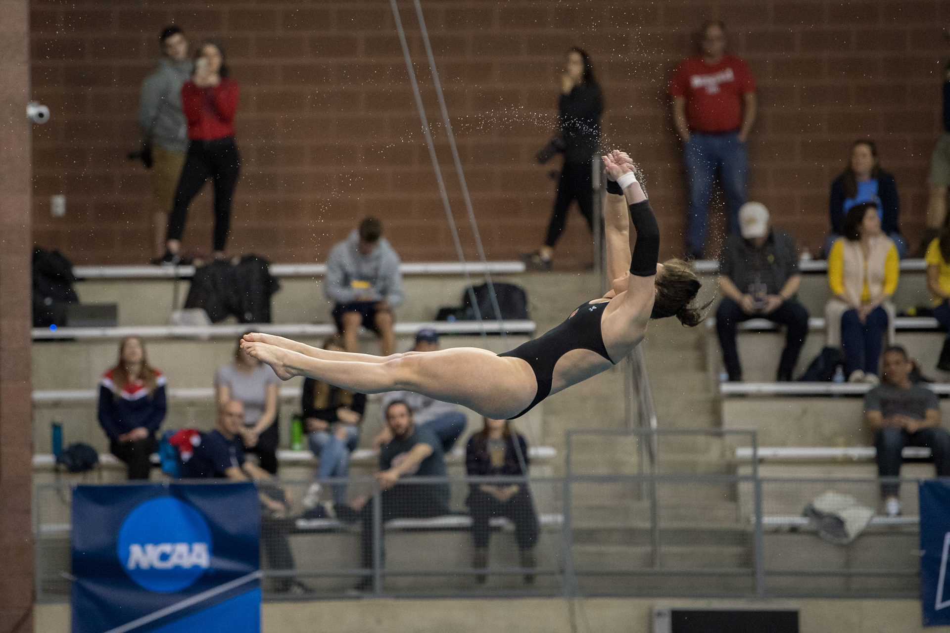 COLUMBUS, OH - MARCH 10, 2018. University of L:ouisville Divers at NCAA Diving Zone C at Ohio State University. Photo by Keith Sliney.